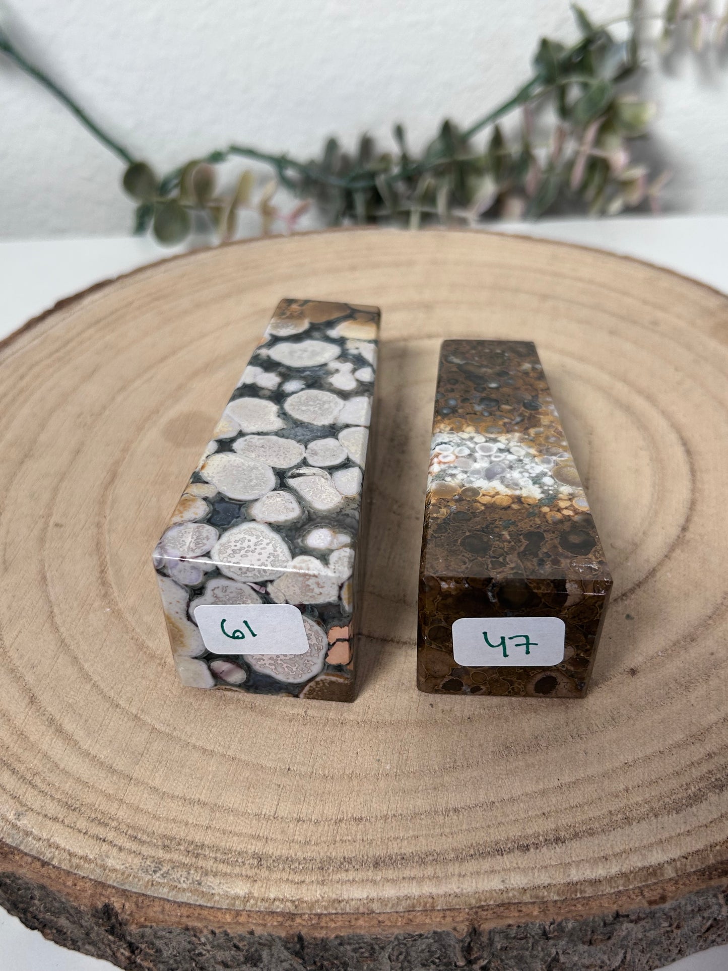 Cobra Jasper Tower 61, 47