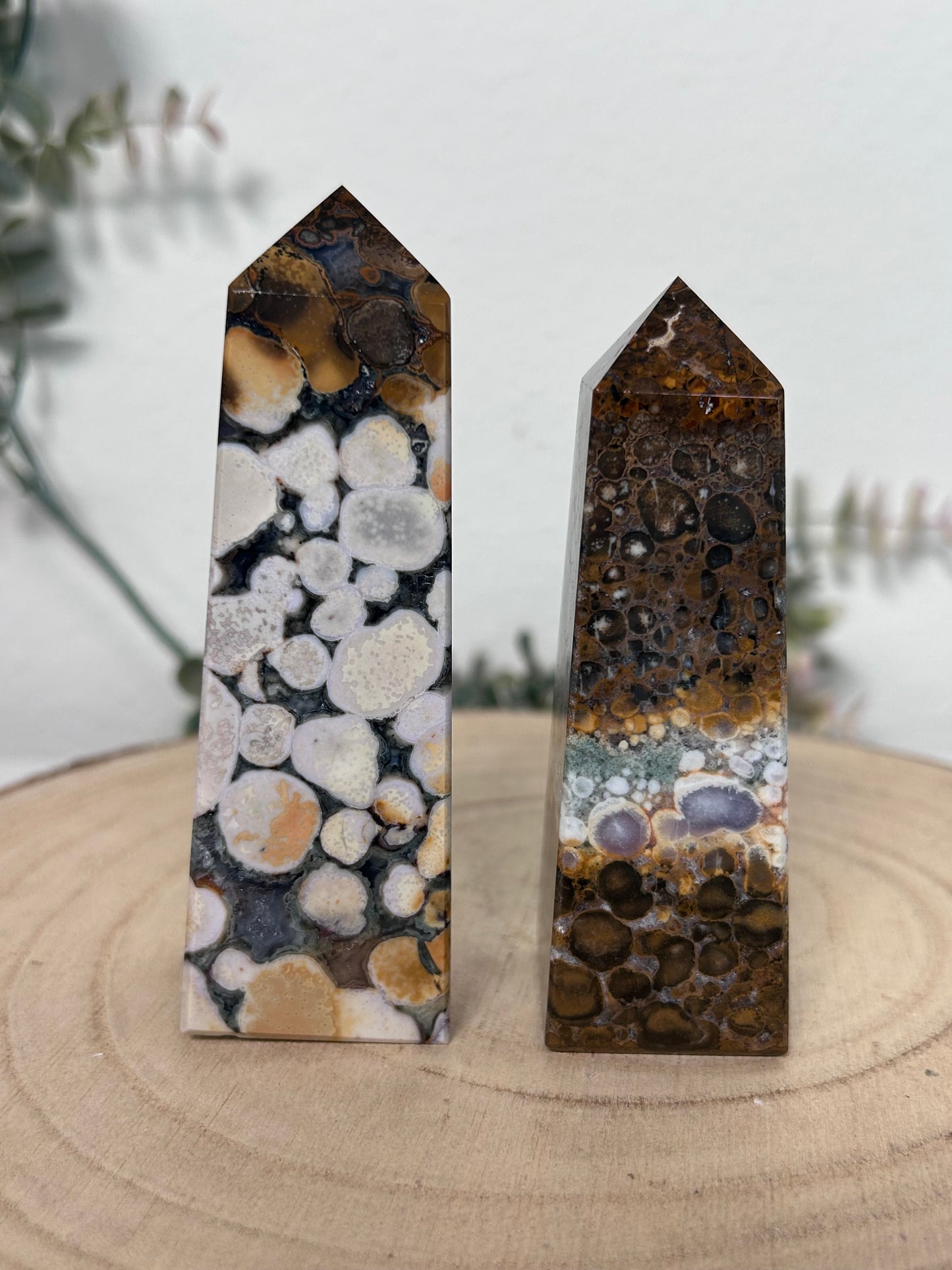 Cobra Jasper Tower 61, 47