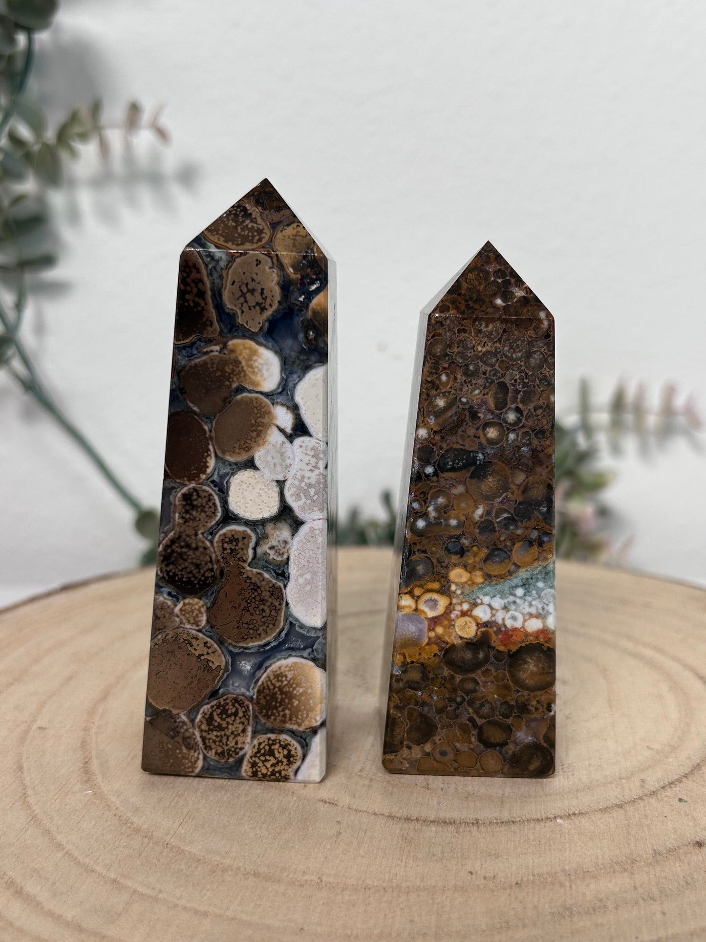 Cobra Jasper Tower 61, 47