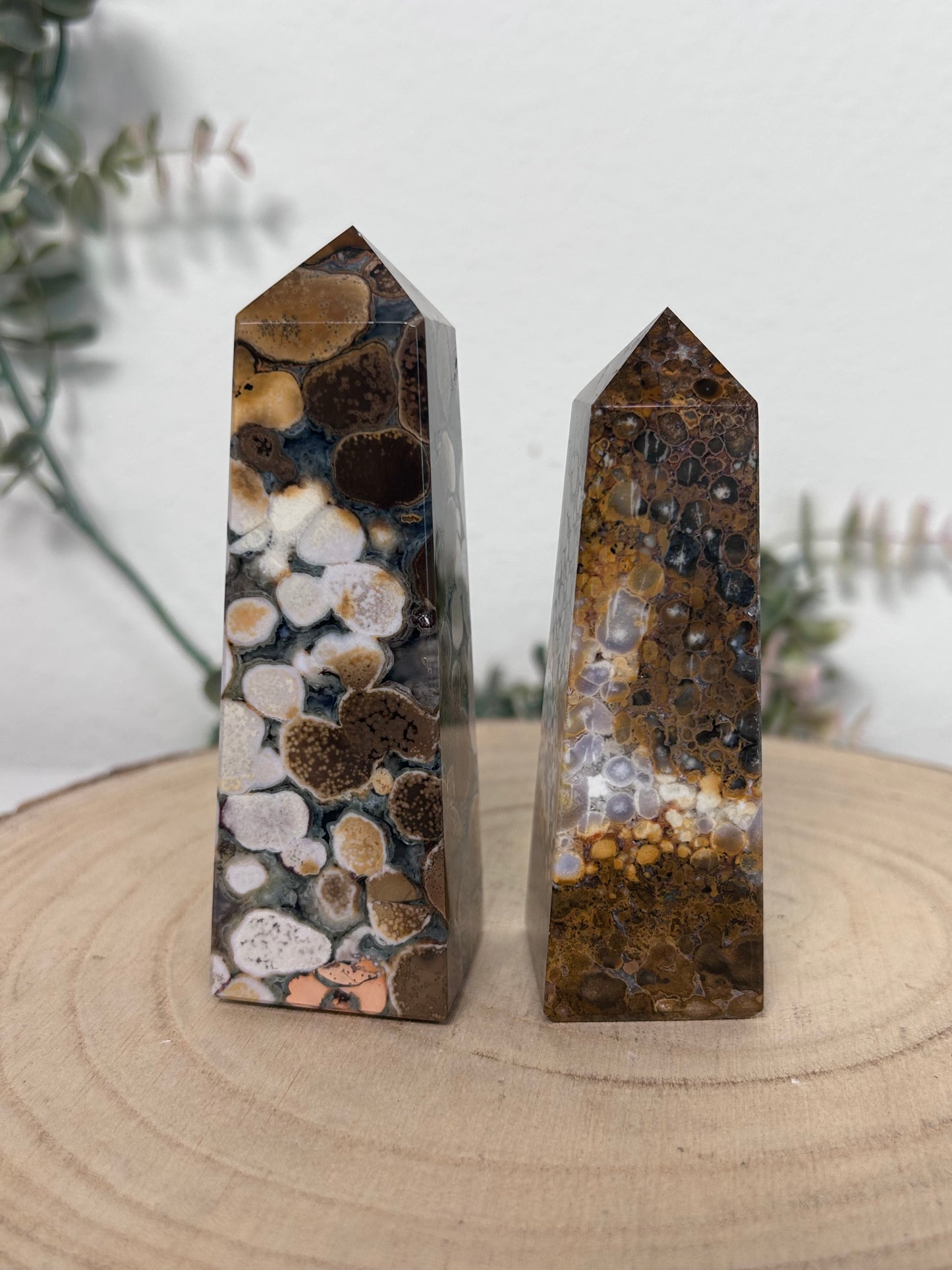 Cobra Jasper Tower 61, 47