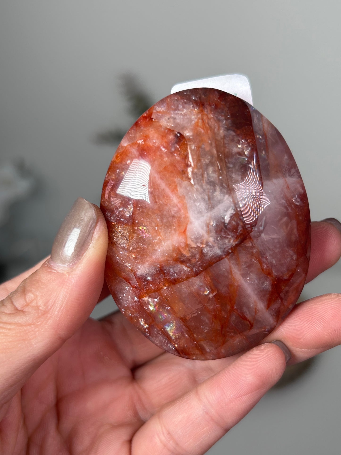 Fire Quartz Palm with Rainbows 34