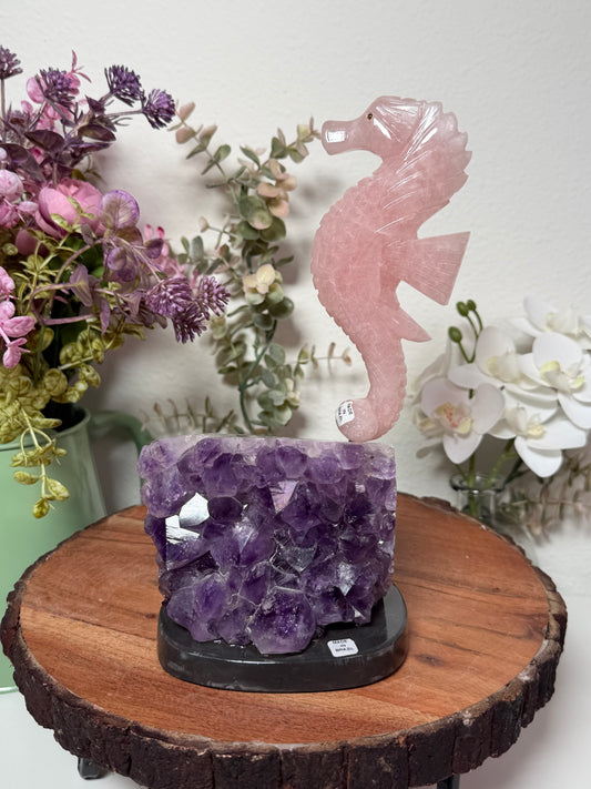 Amethyst geode with Rose Quartz Seahorse