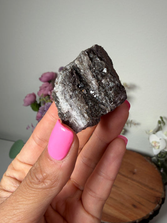 Crystalized fossil wood, Arizona 88