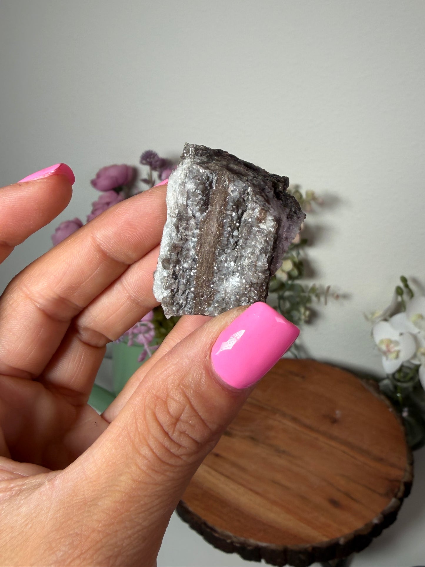 Crystalized fossil wood, Arizona 88