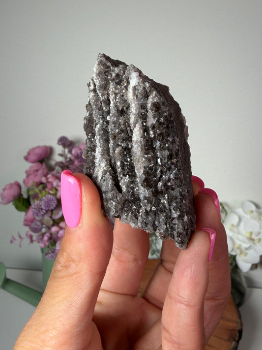 Crystalized fossil wood, Arizona 112