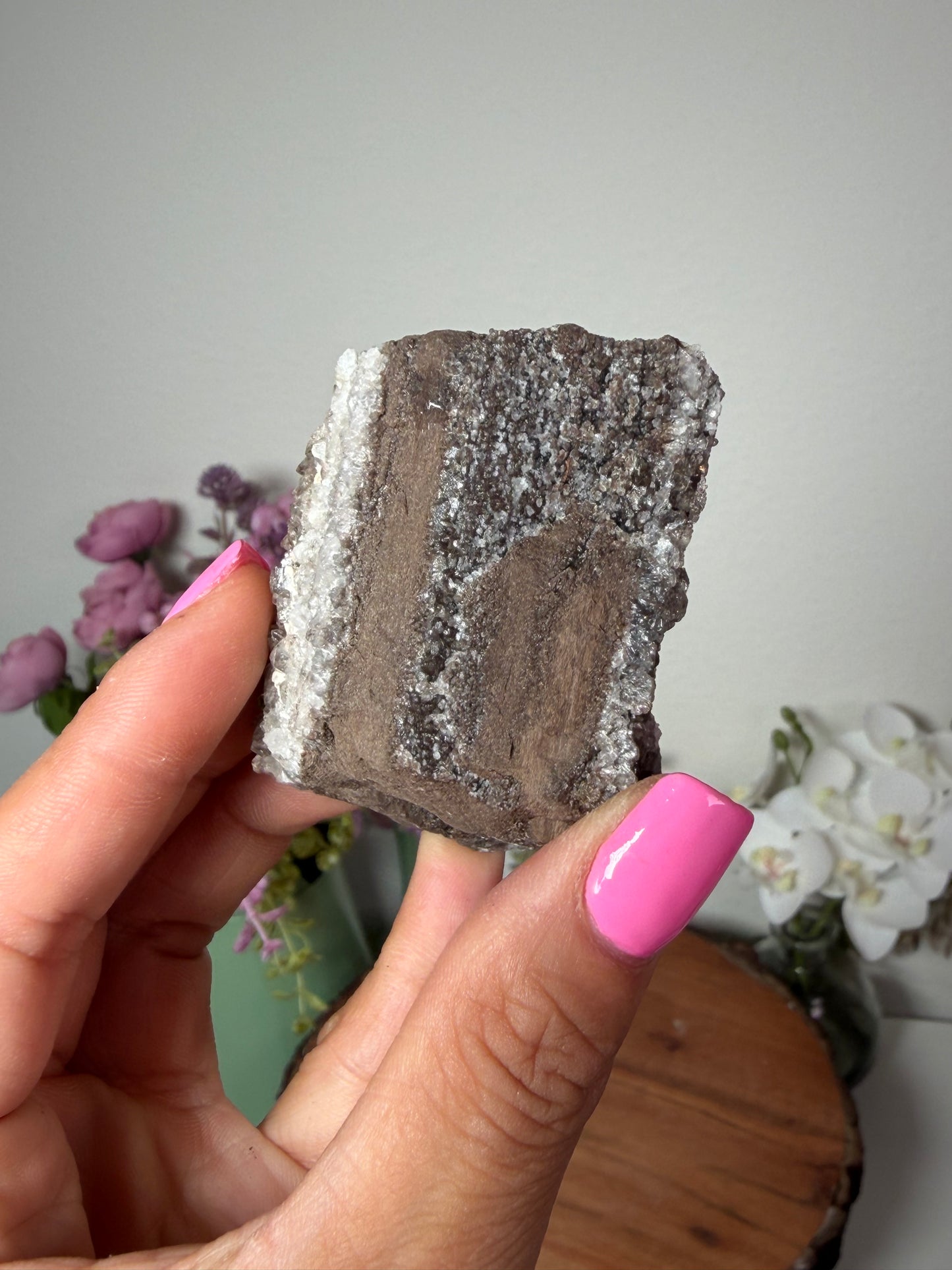 Crystalized fossil wood, Arizona 112