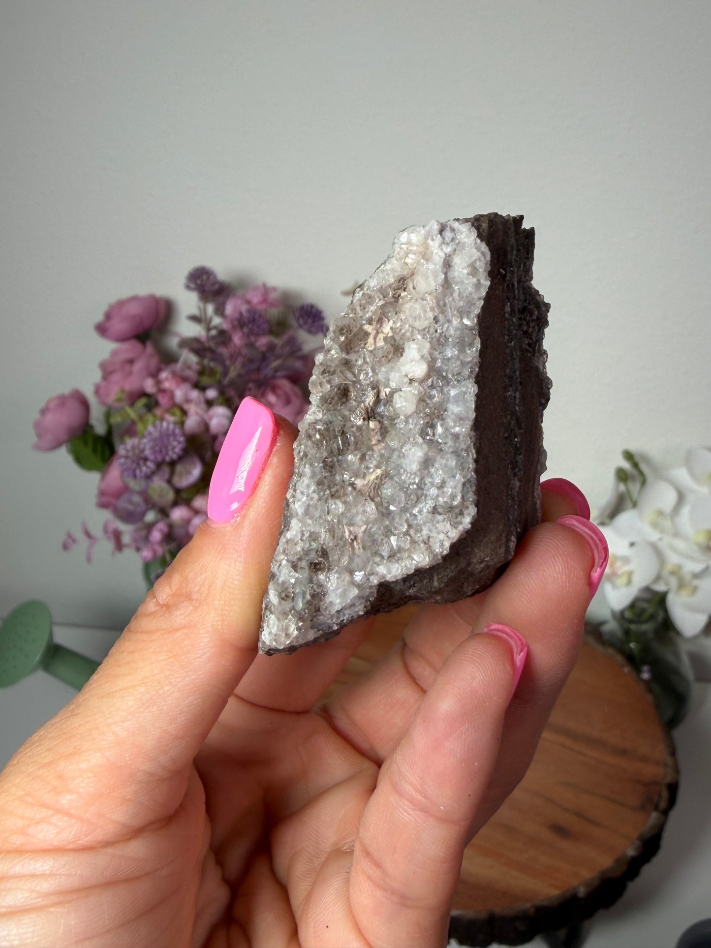 Crystalized fossil wood, Arizona 112