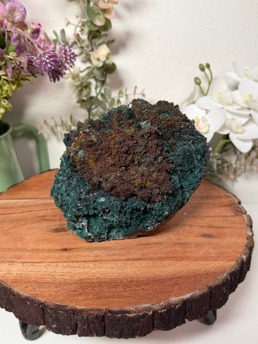 Marshy Apophyllite 855