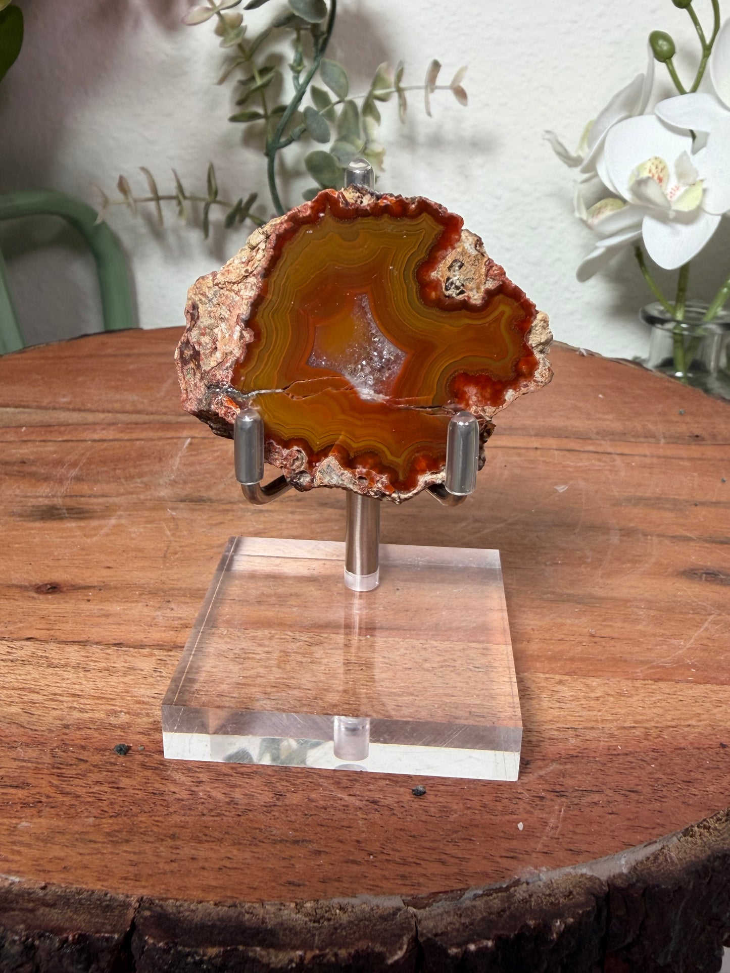 Condor Agate 48a
