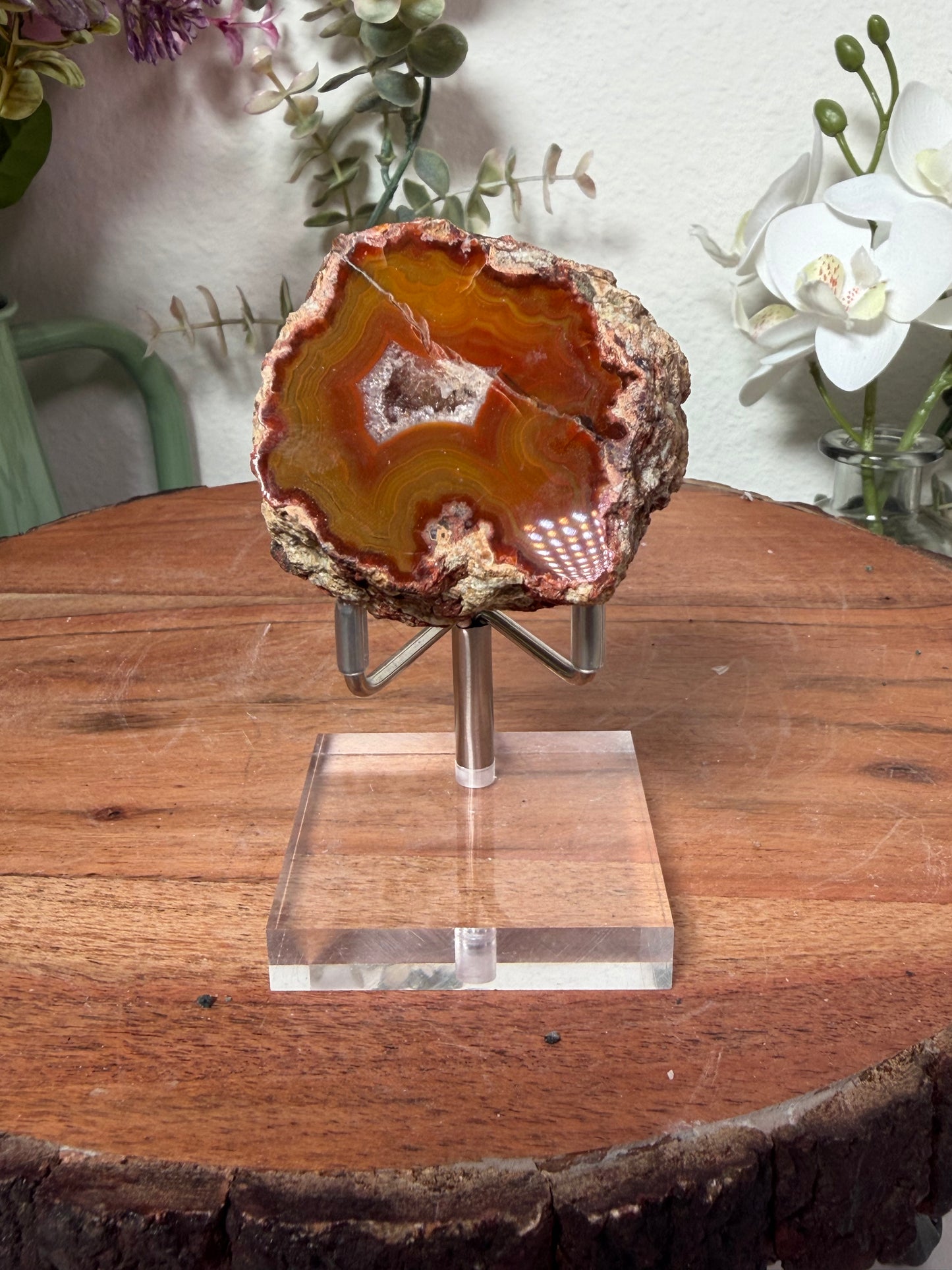 Condor Agate 48b