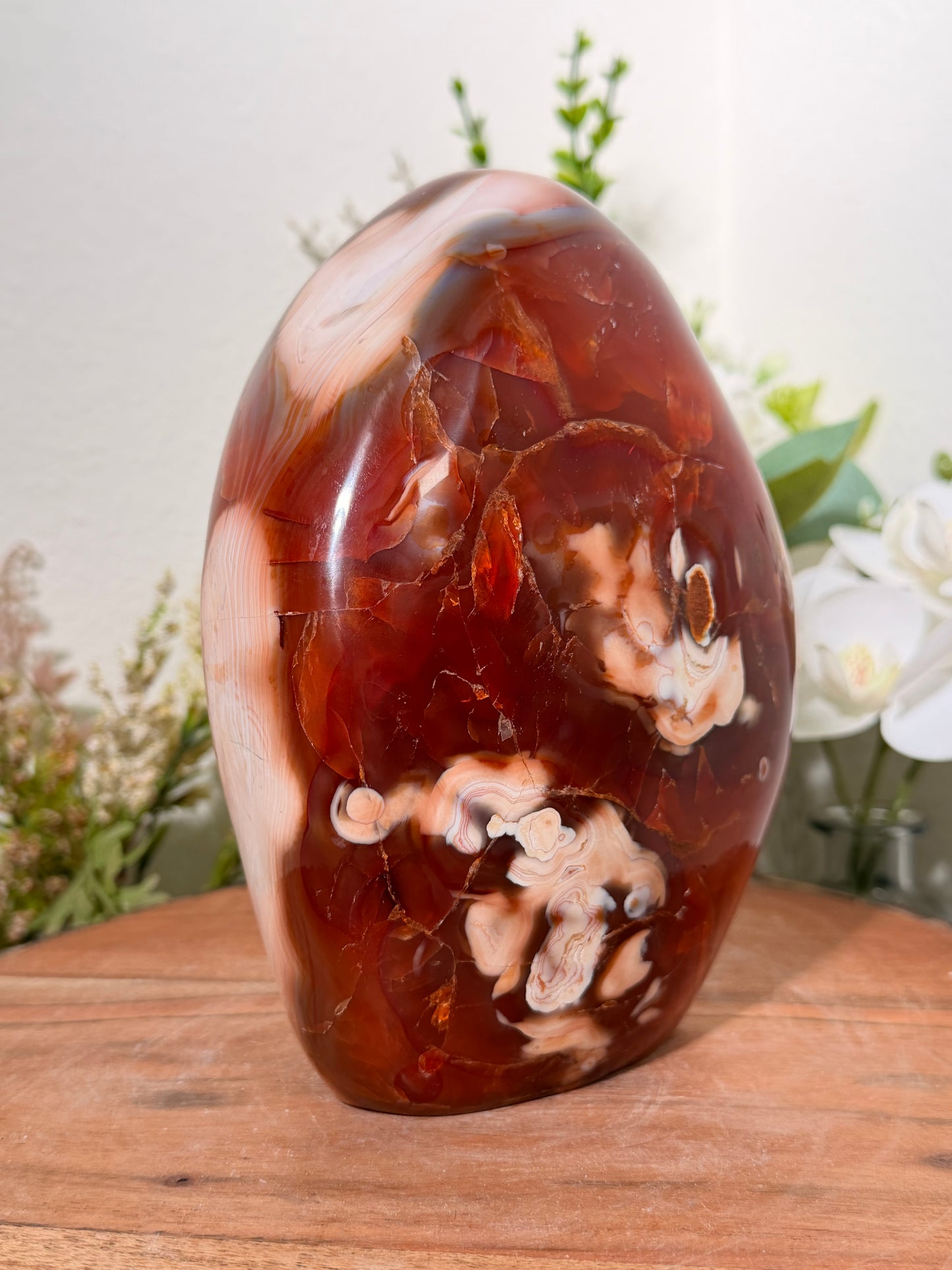 Carnelian Freeform 170