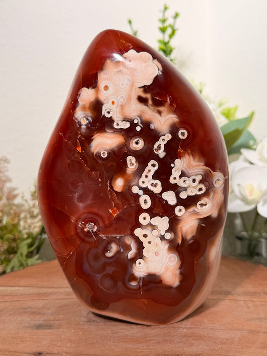 Carnelian Freeform 170