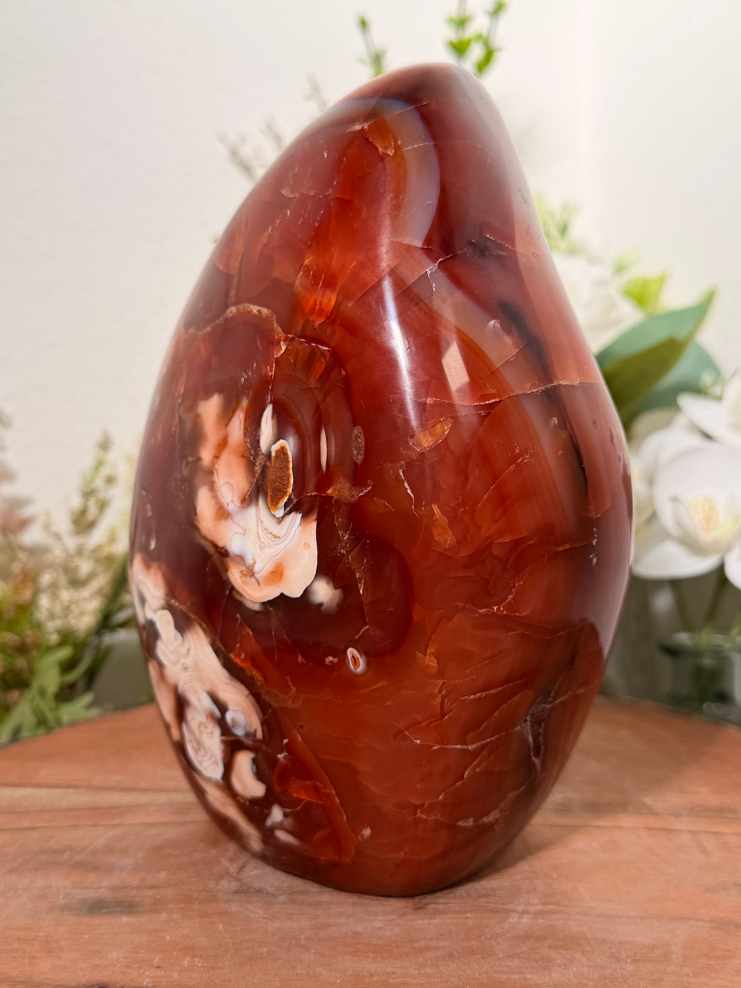 Carnelian Freeform 170