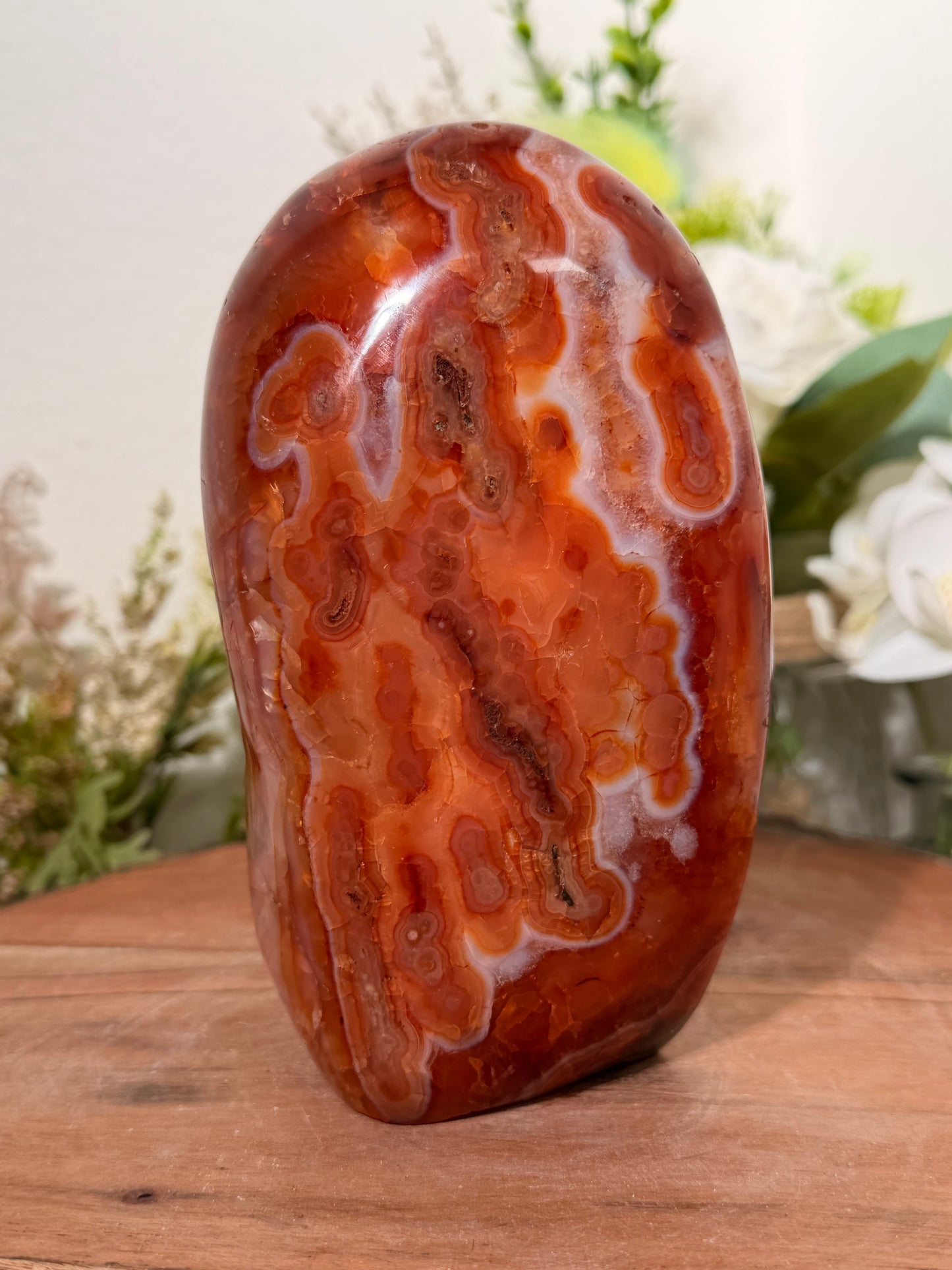 Carnelian Freeform 90