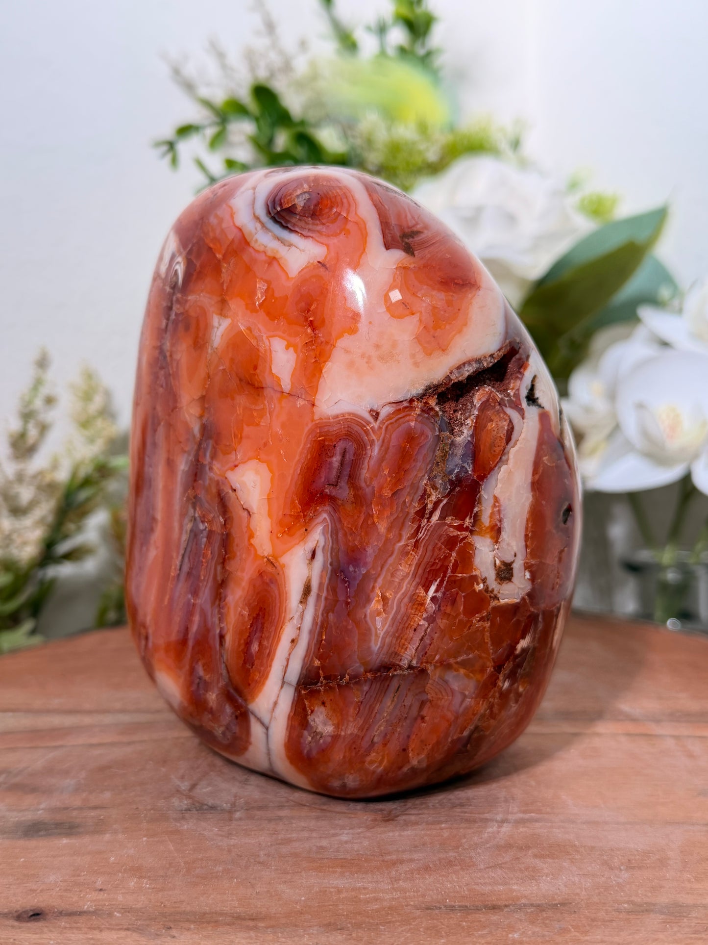 Carnelian Freeform 100