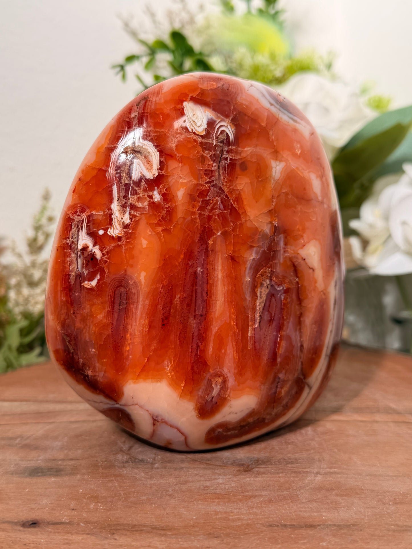 Carnelian Freeform 100