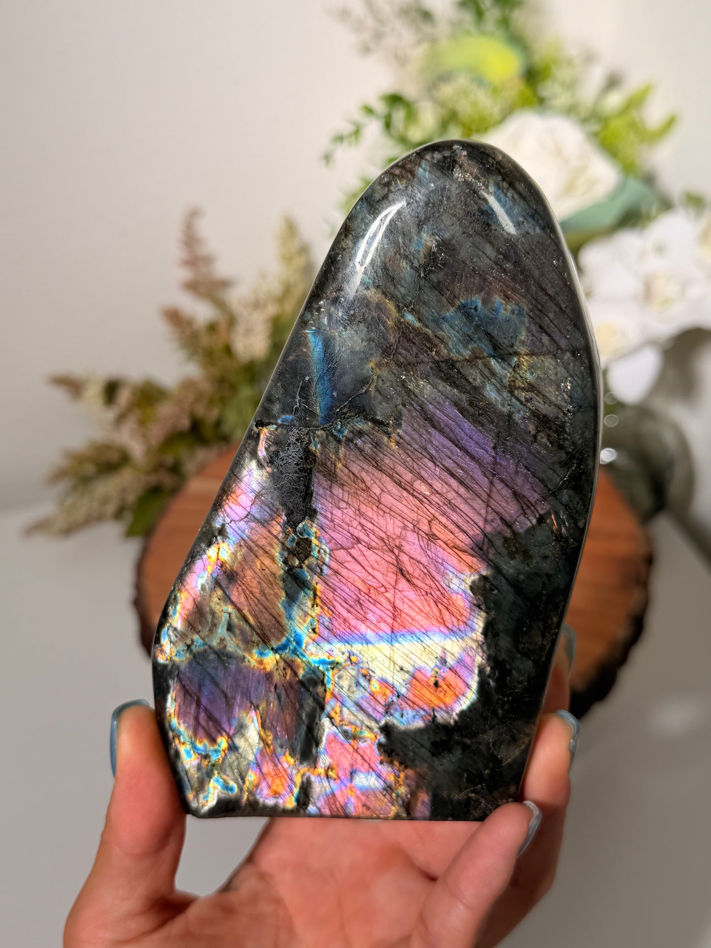 Rainbow Flash Lab Freeform 130