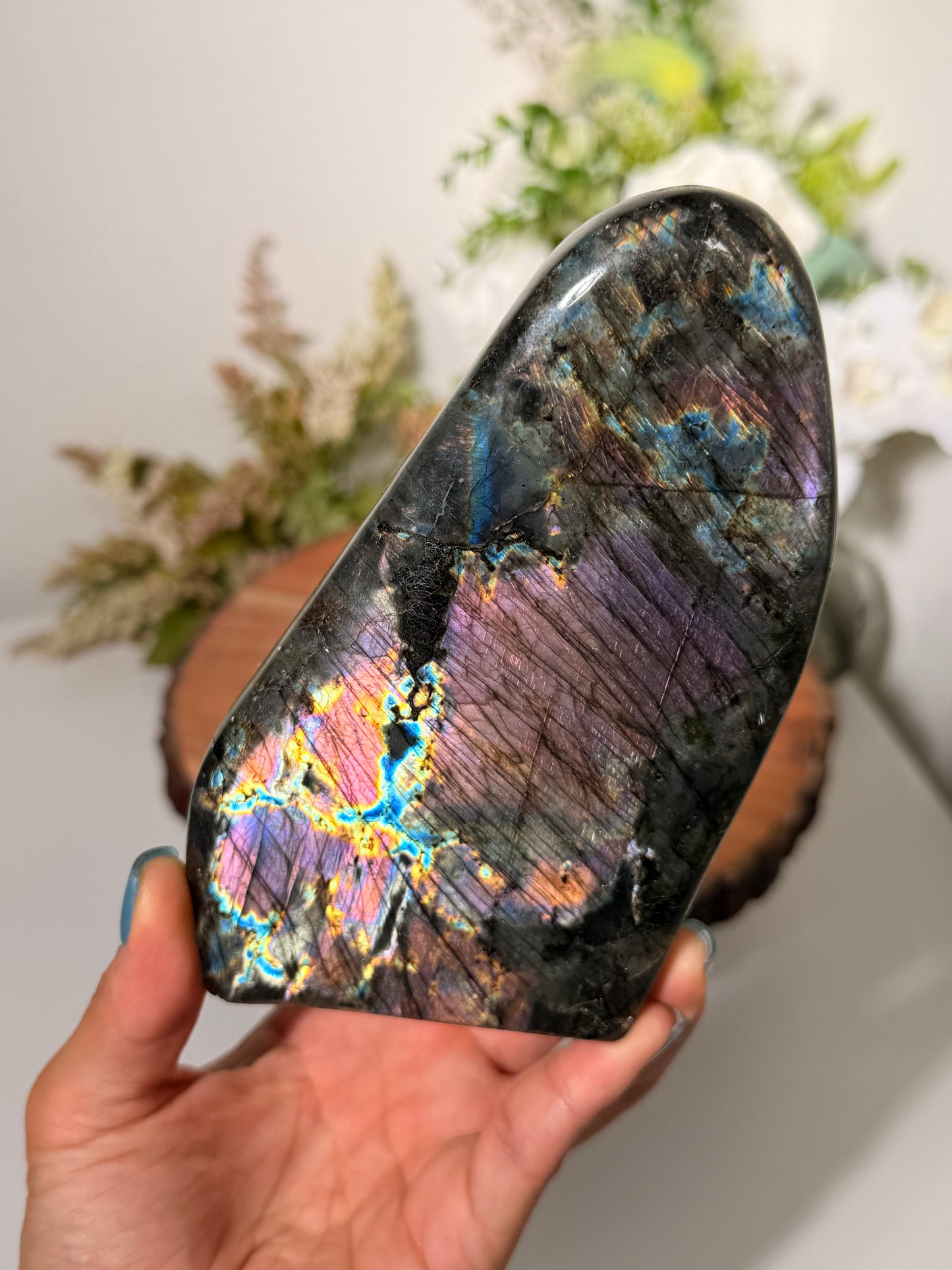 Rainbow Flash Lab Freeform 130