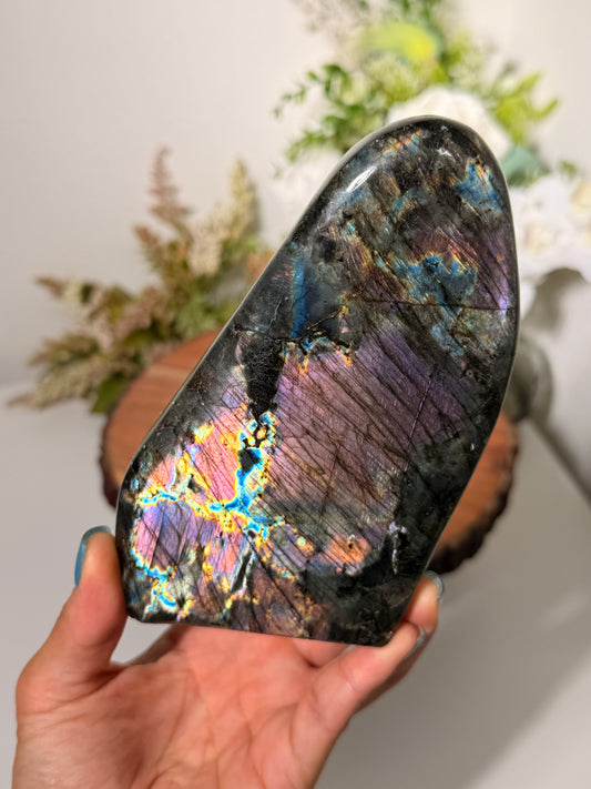 Rainbow Flash Lab Freeform 130