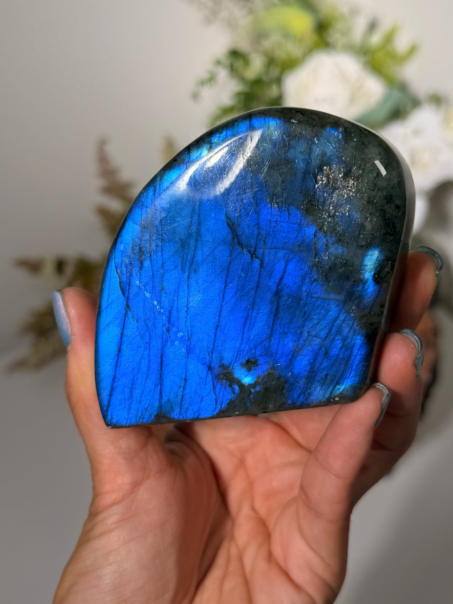 Blue Lab FreeForm 50