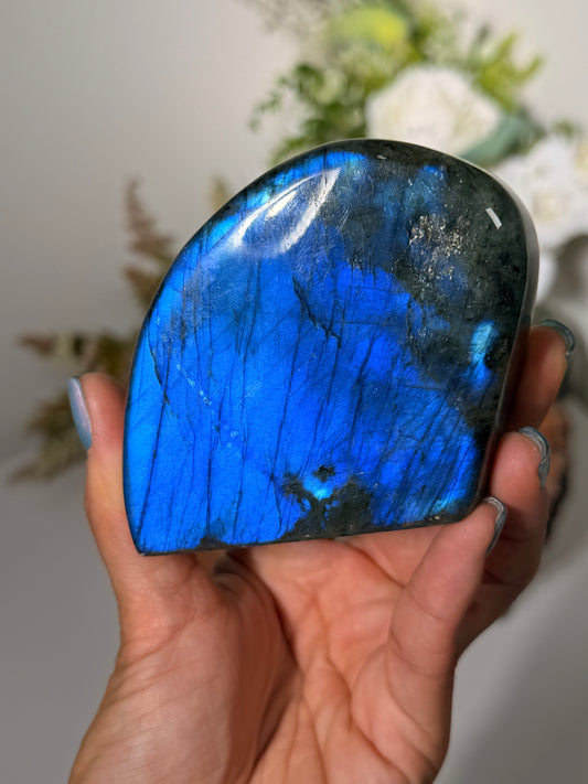 Blue Lab FreeForm 50