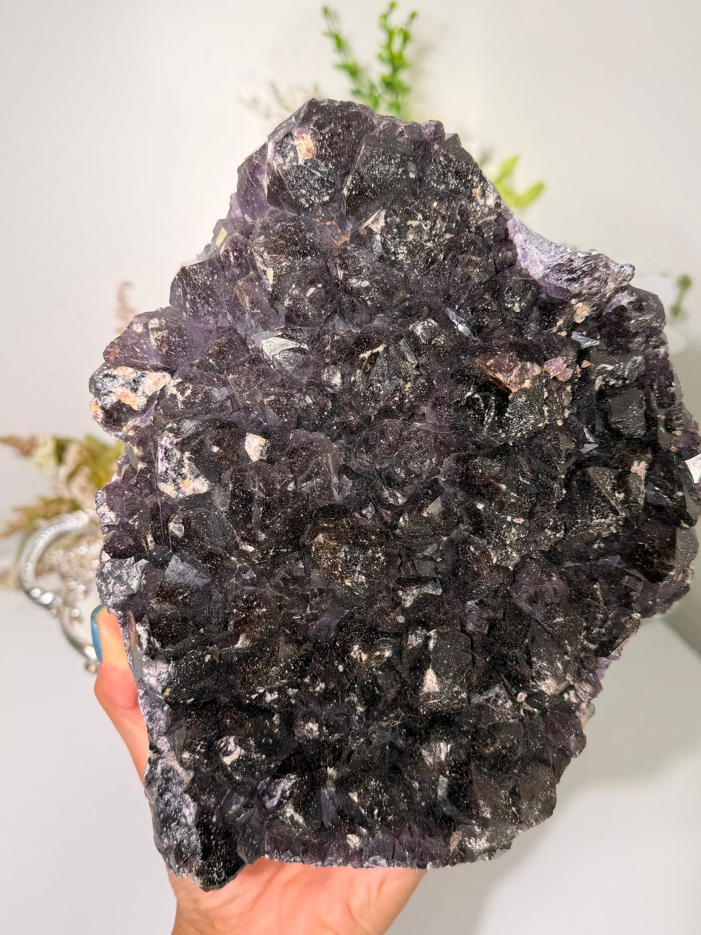 "Royal Jelly" Black Alien Amethyst 340