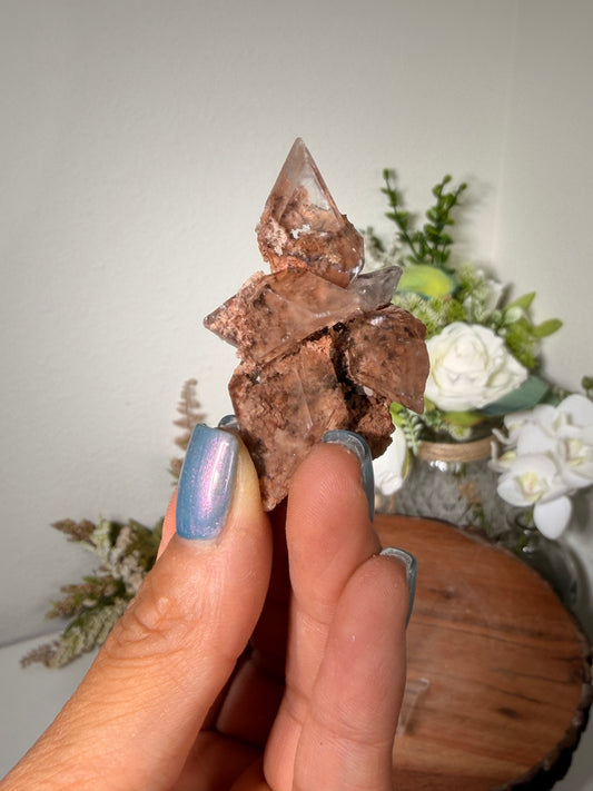 Bermejilo Selenite 68