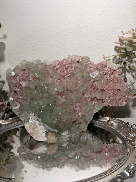 "Watermelon Mojito" Statement 572