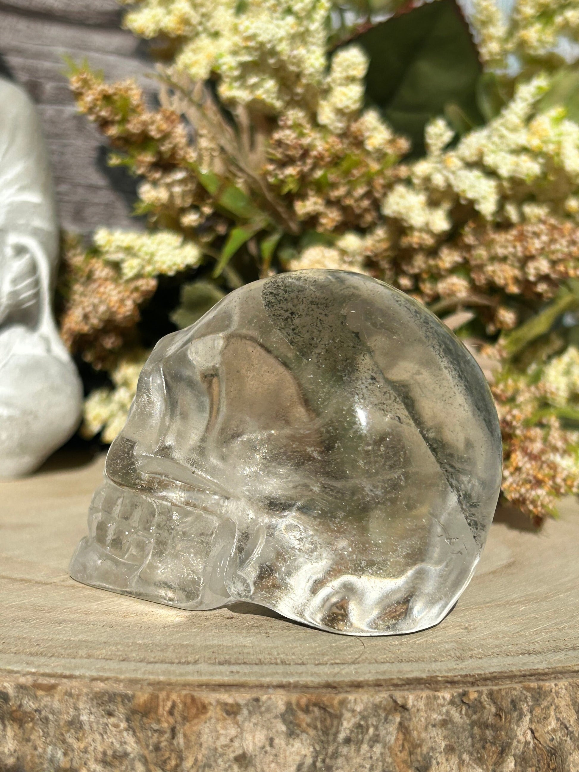 RARE Natural Garden Quartz Crystal Skull | Garden Quartz Skull | Colorful Lodalite Garden Quartz | Reiki | Home Decor | Healing Crystals