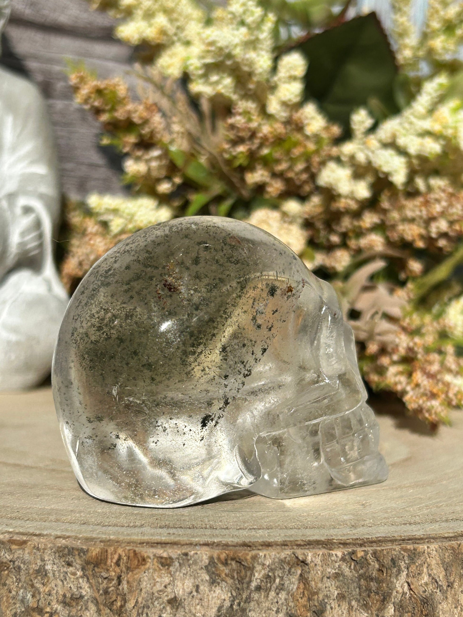 RARE Natural Garden Quartz Crystal Skull | Garden Quartz Skull | Colorful Lodalite Garden Quartz | Reiki | Home Decor | Healing Crystals