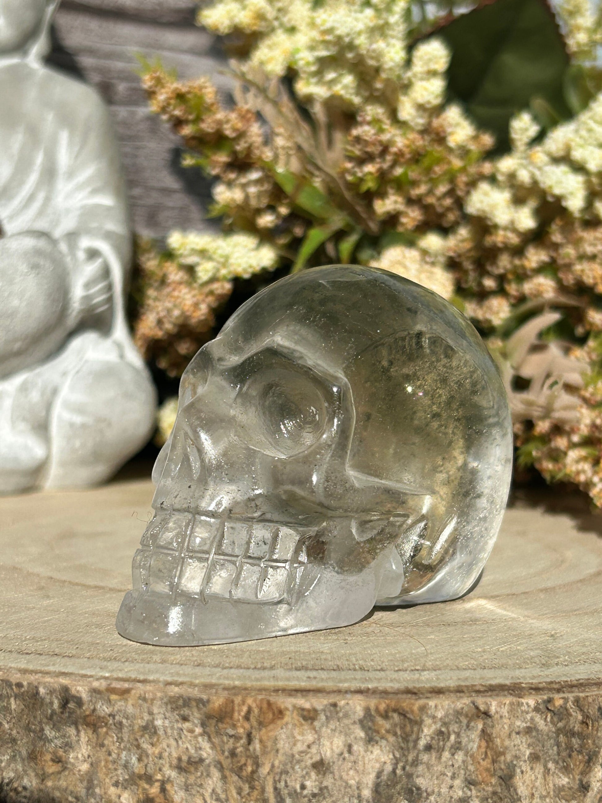 RARE Natural Garden Quartz Crystal Skull | Garden Quartz Skull | Colorful Lodalite Garden Quartz | Reiki | Home Decor | Healing Crystals