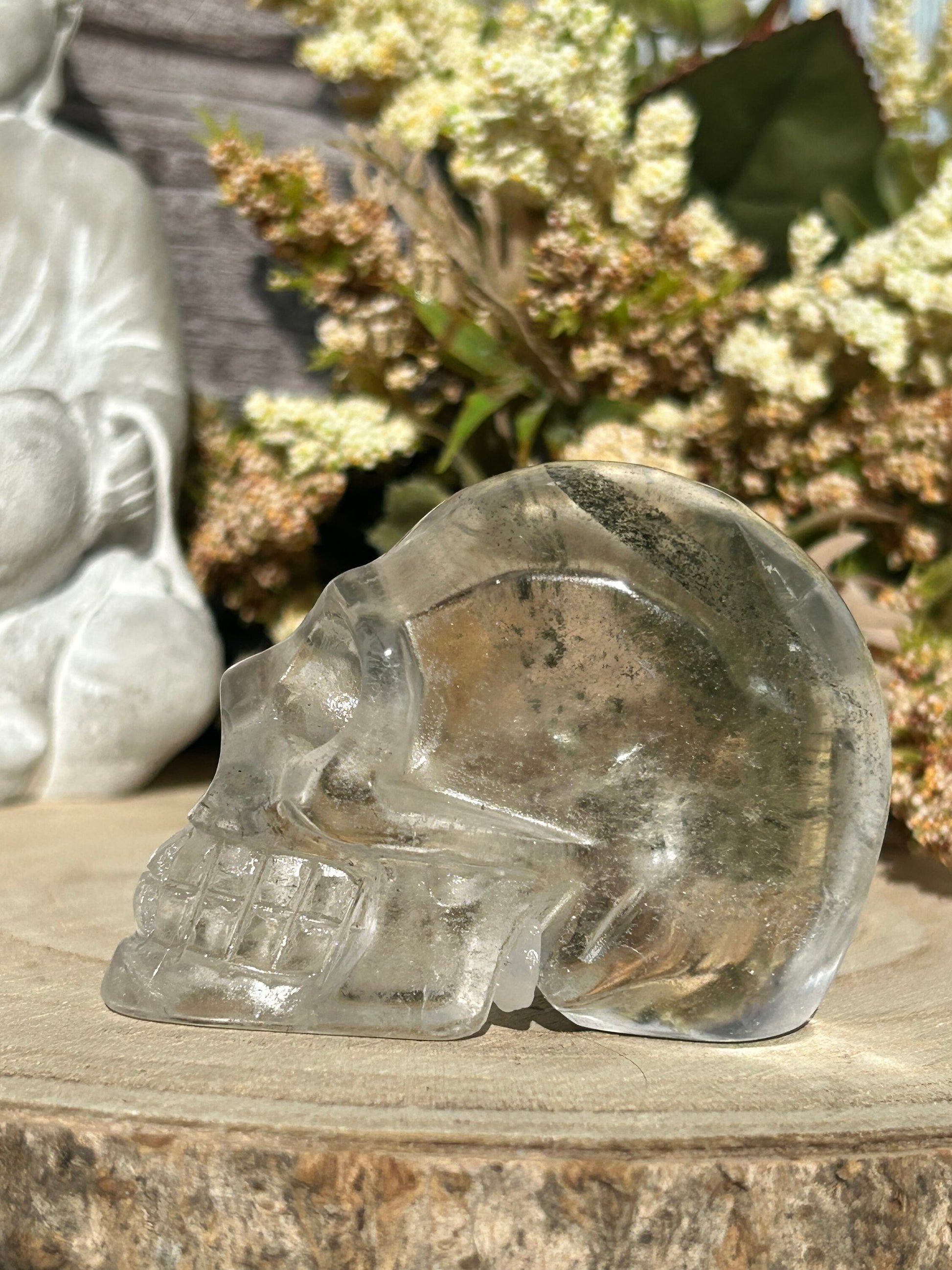 RARE Natural Garden Quartz Crystal Skull | Garden Quartz Skull | Colorful Lodalite Garden Quartz | Reiki | Home Decor | Healing Crystals