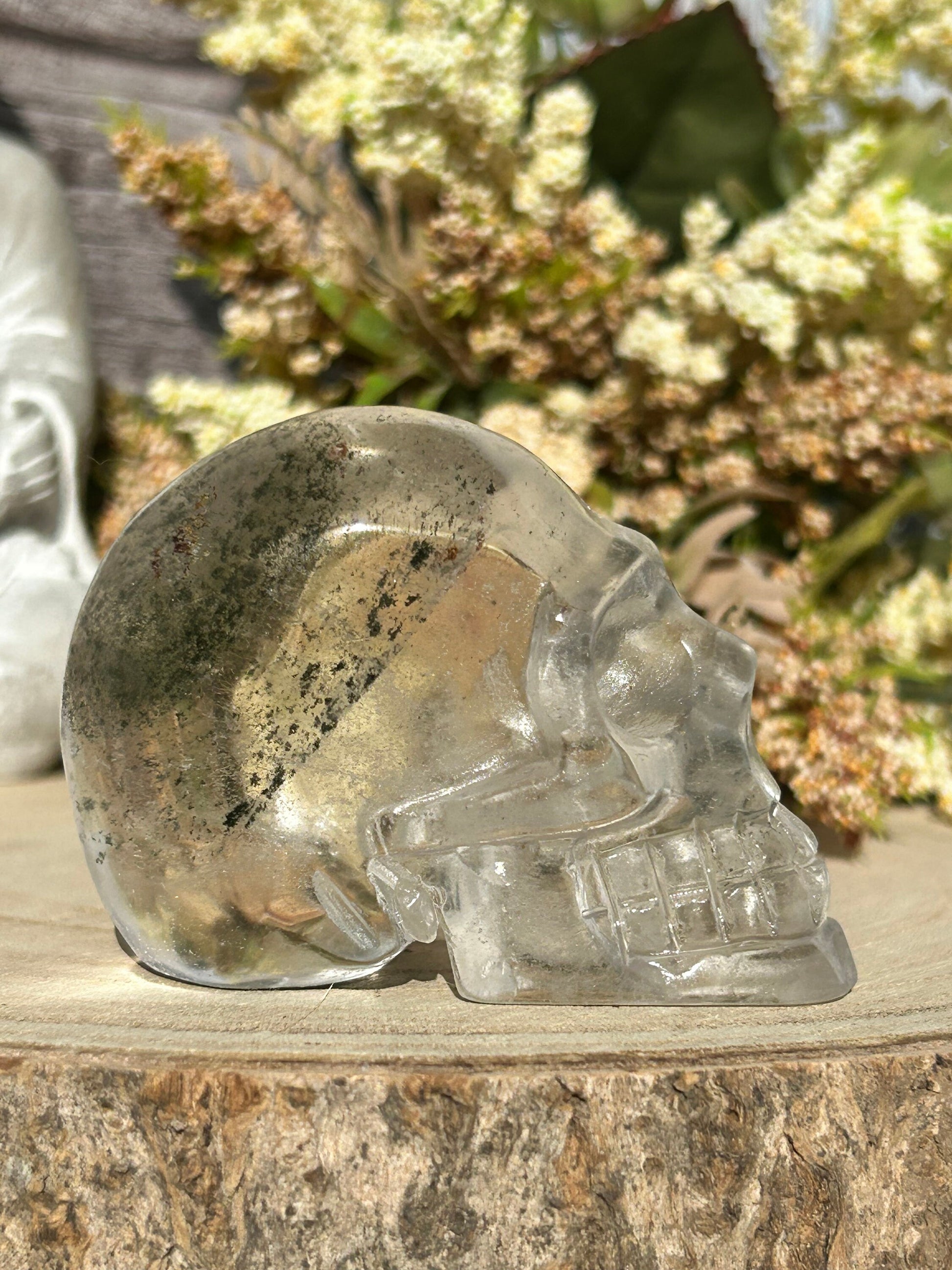 RARE Natural Garden Quartz Crystal Skull | Garden Quartz Skull | Colorful Lodalite Garden Quartz | Reiki | Home Decor | Healing Crystals