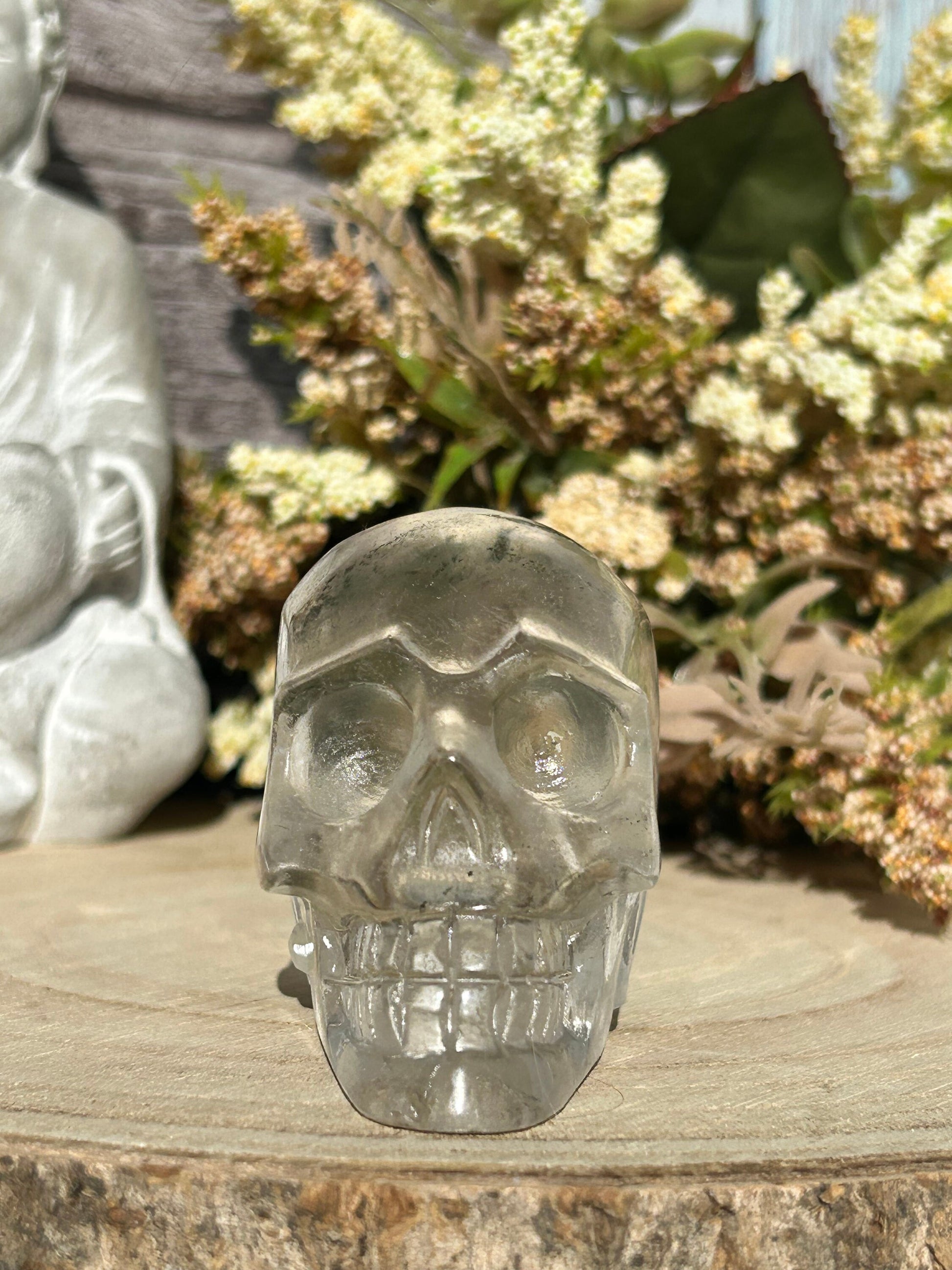 RARE Natural Garden Quartz Crystal Skull | Garden Quartz Skull | Colorful Lodalite Garden Quartz | Reiki | Home Decor | Healing Crystals