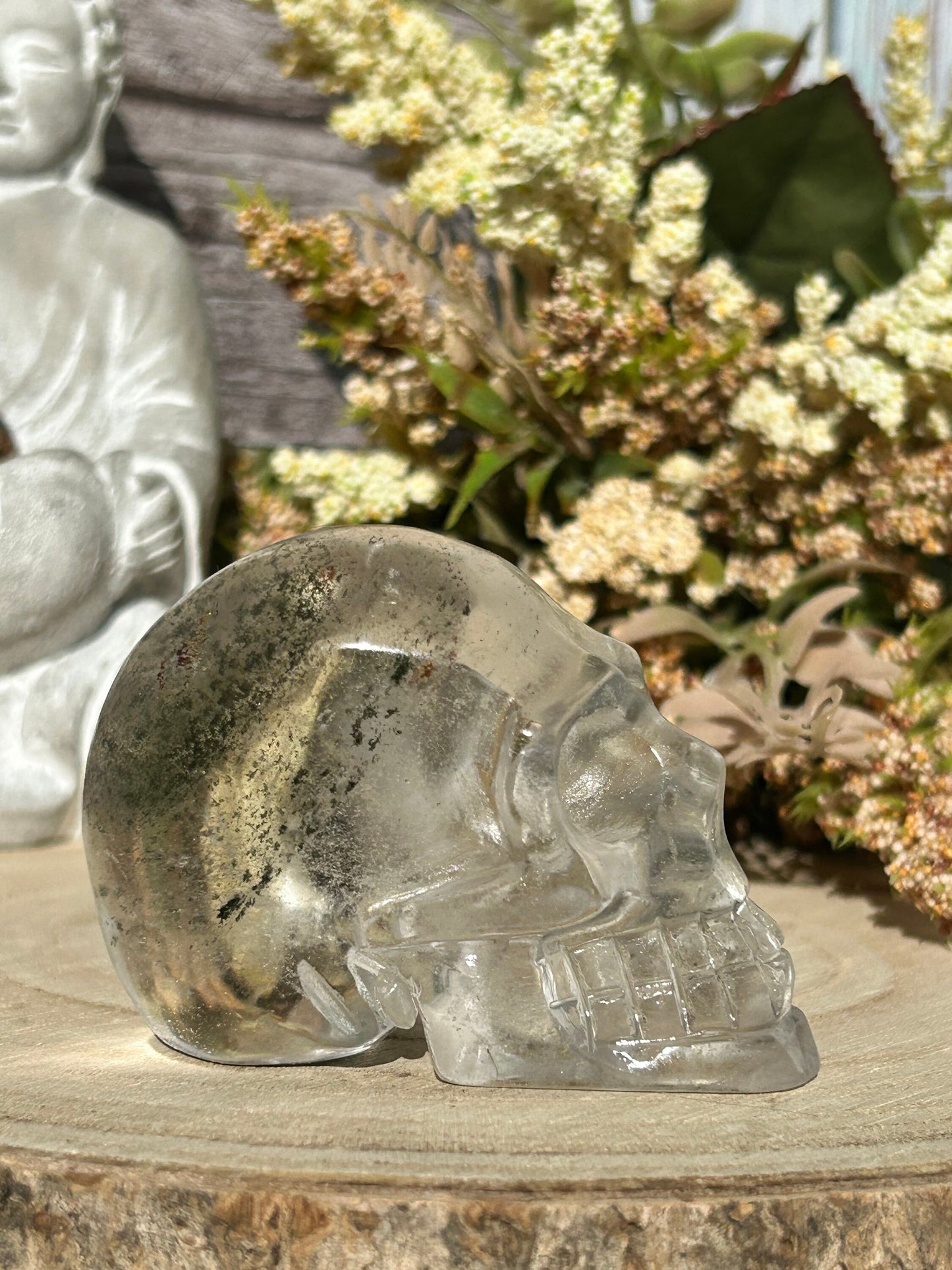 RARE Natural Garden Quartz Crystal Skull | Garden Quartz Skull | Colorful Lodalite Garden Quartz | Reiki | Home Decor | Healing Crystals