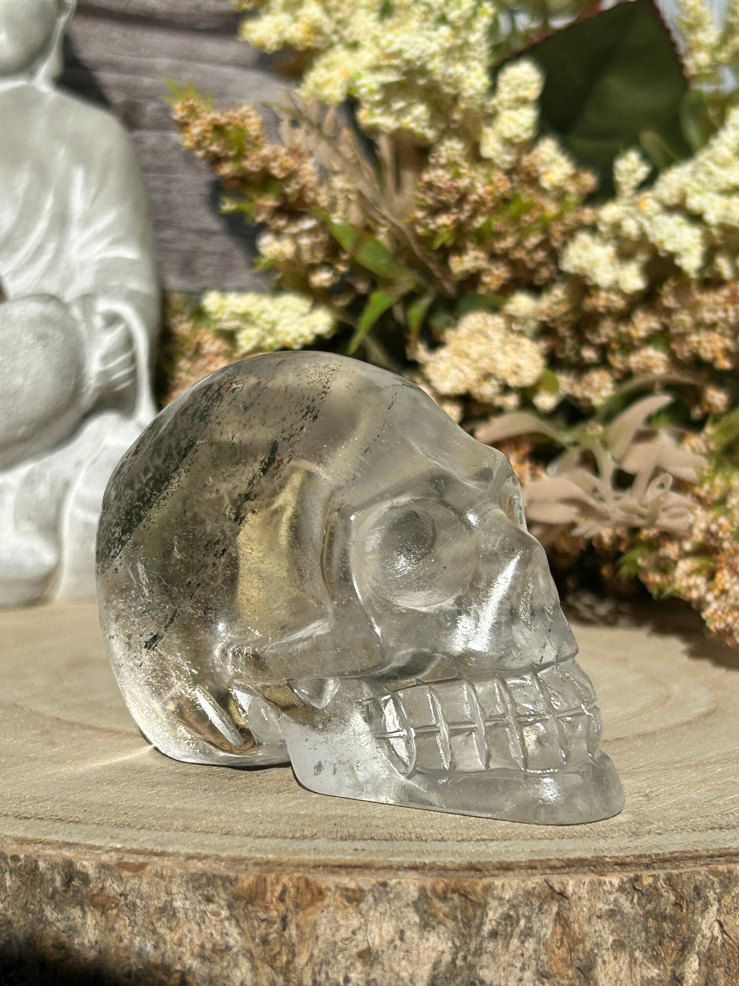 RARE Natural Garden Quartz Crystal Skull | Garden Quartz Skull | Colorful Lodalite Garden Quartz | Reiki | Home Decor | Healing Crystals