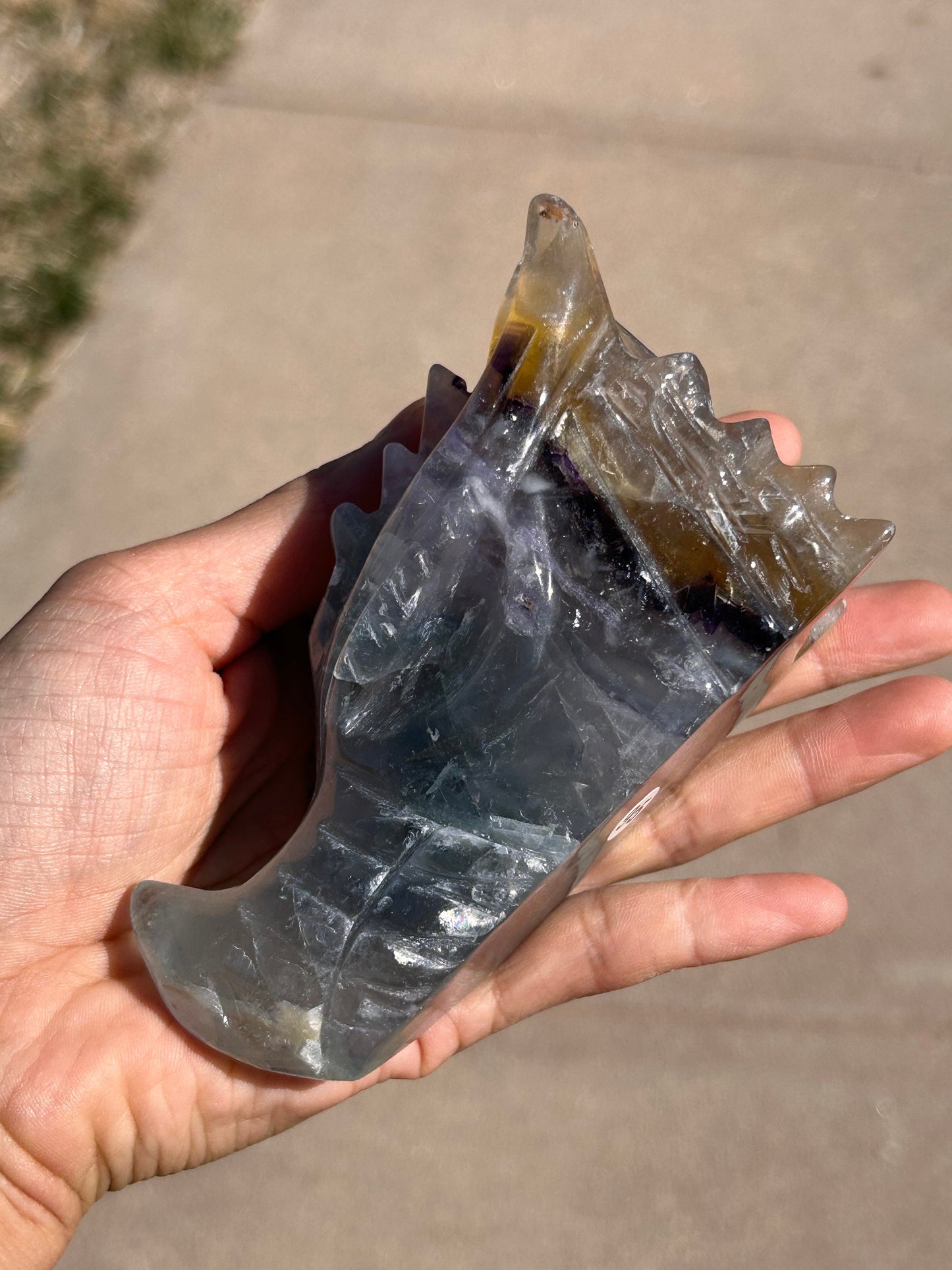 Beautiful Rainbow Fluorite Dragon Skull | Fluorite Dragon | Dragon Skull | Purple Fluorite Dragon Head | Crystal Gifts | Crystal Skull-Crystal Skulls-rainbow fluorite