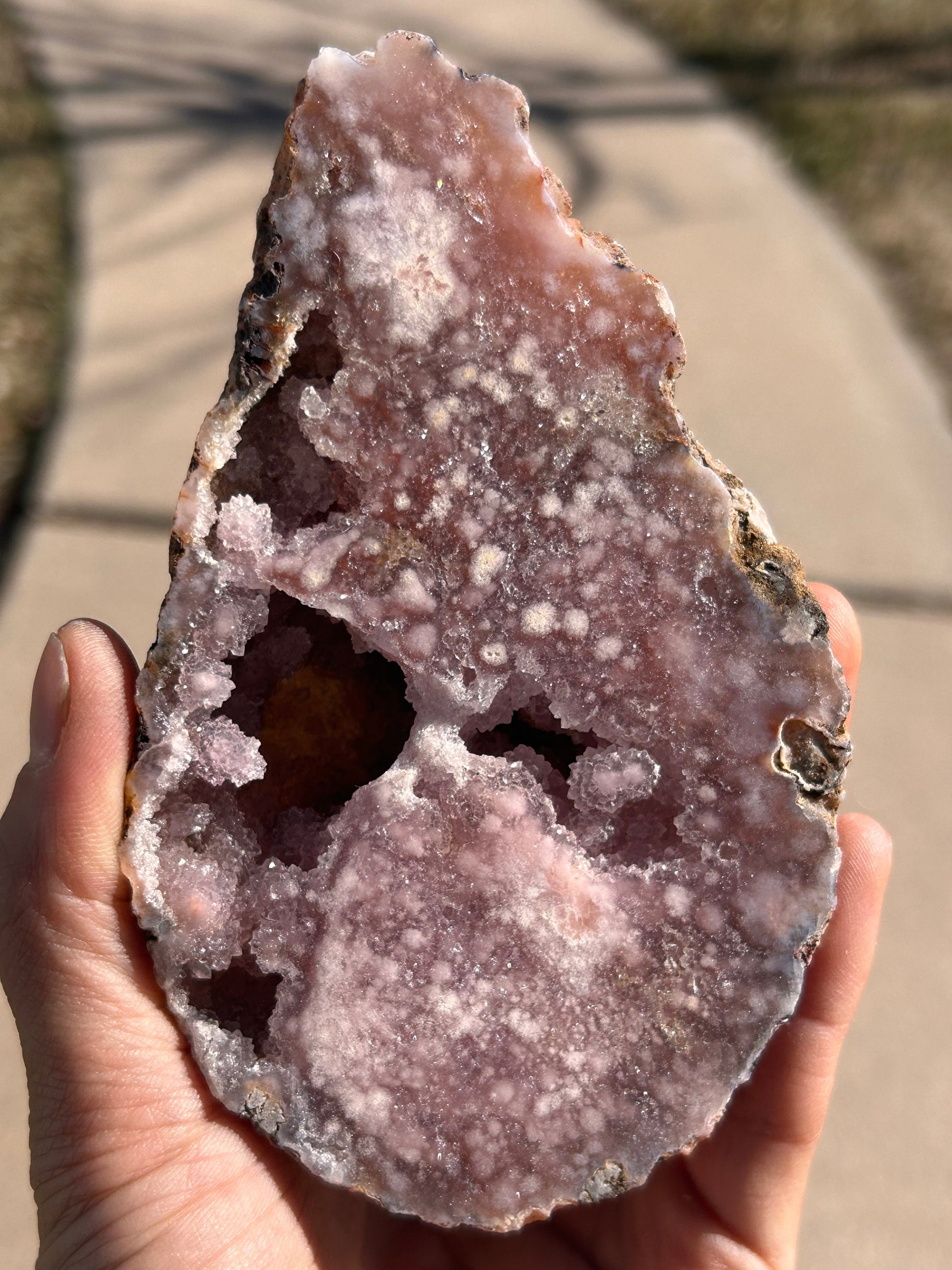 Beautiful High Quality/ Grade AAA Pink Amethyst Flower Agate Druzy Butterfly Wings on Custom Gold Stand | Crystal Butterfly Wing Set | Gift-Butterfly Wings/ Sets-pink amethyst, flower agate, purple amethyst