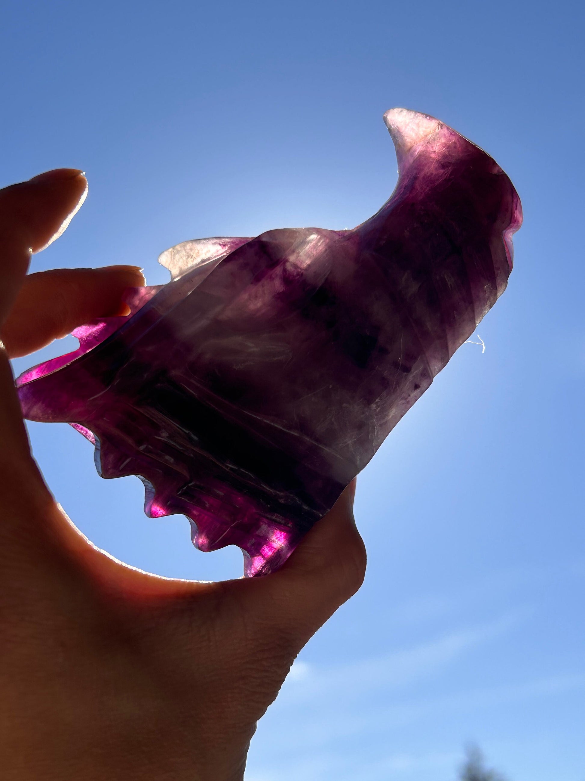 Beautiful Rainbow Fluorite Dragon Skull | Fluorite Dragon | Dragon Skull | Purple Fluorite Dragon Head | Crystal Gifts | Crystal Skull-Crystal Skulls-rainbow fluorite