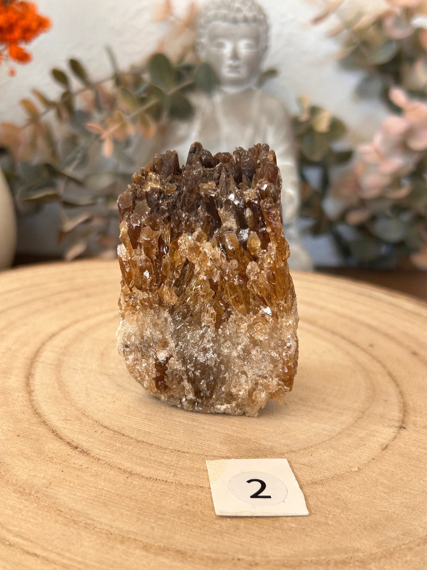 Sparkly Raw Amber Stone | Copal Amber | Healing Crystals & Stones | Rough Amber Crystal | Crystal Gifts | Crystal Specimen | Amber Crystal