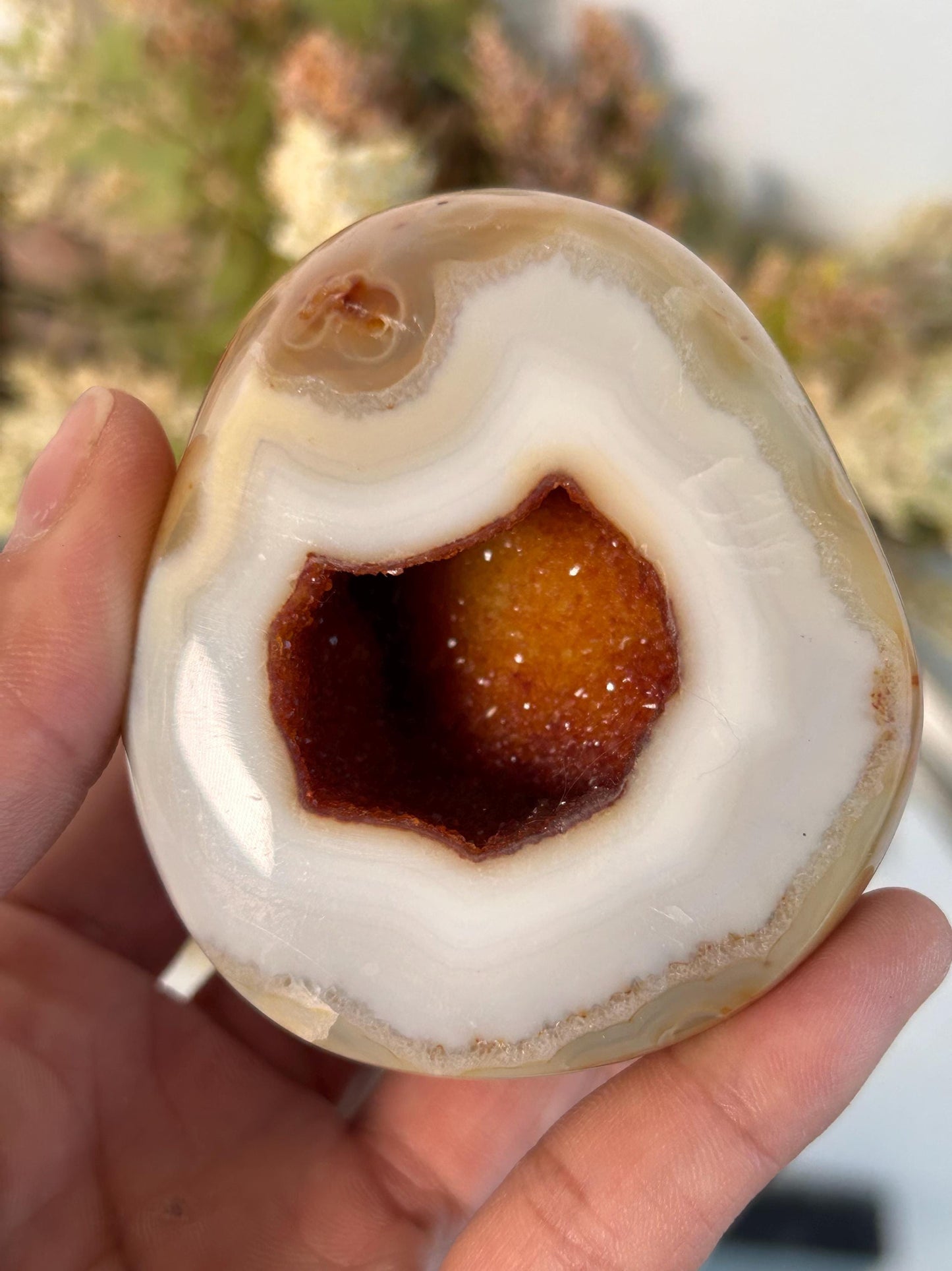 RARE High Quality Colorful Druzy Carnelian Geode | Carnelian Agate | Carnelian Crystal | Crystal Sphere | Home Decor | Crystal Gift-Crystal Spheres-Carnelian, Quartz