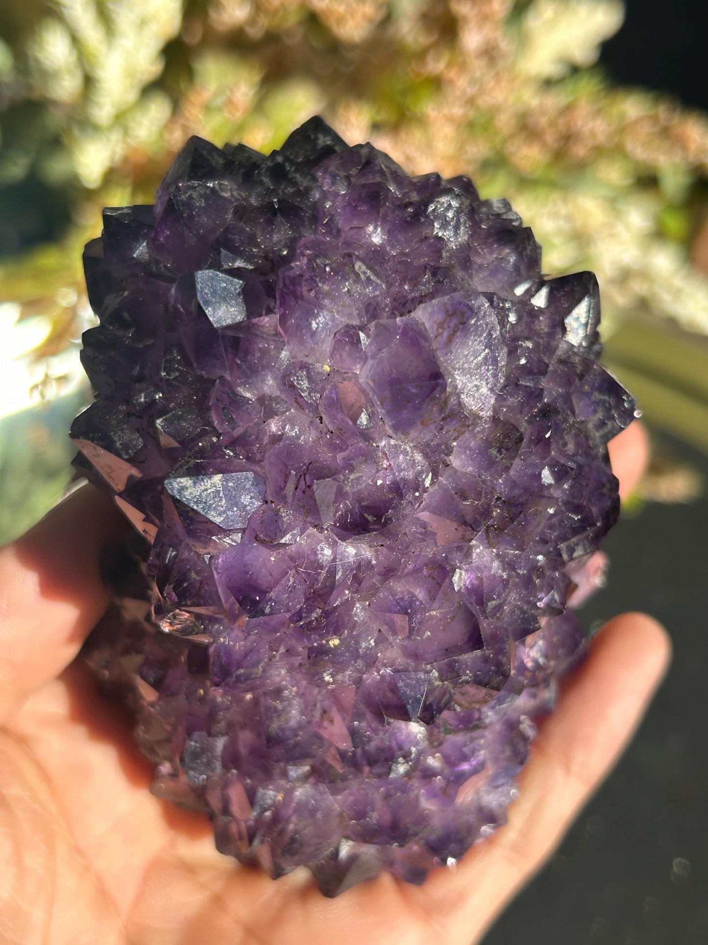 Uruguay Amethyst Specimen Geode | Mineral Specimens | Amethyst Formations | Uruguayan Amethyst | Healing Crystal | Home Decor | Crystal Gift-Raw Crystal Specimens-amethyst