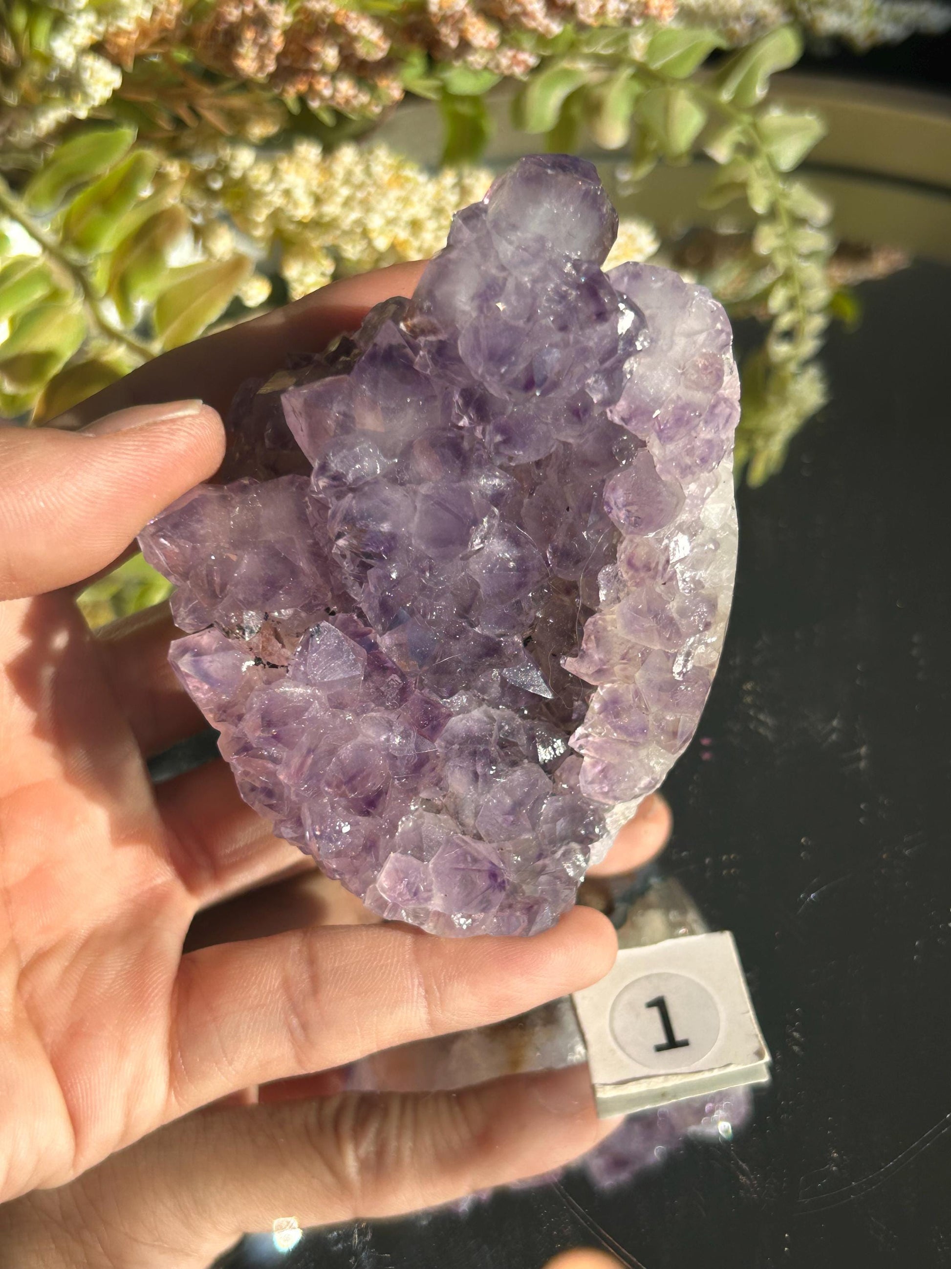 Uruguay Amethyst Specimen Geode | Mineral Specimens | Amethyst Formations | Uruguayan Amethyst | Healing Crystal | Home Decor | Crystal Gift-Raw Crystal Specimens-amethyst