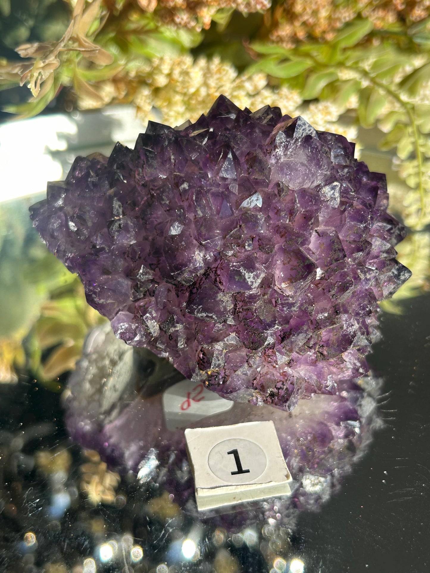 Uruguay Amethyst Specimen Geode | Mineral Specimens | Amethyst Formations | Uruguayan Amethyst | Healing Crystal | Home Decor | Crystal Gift-Raw Crystal Specimens-amethyst