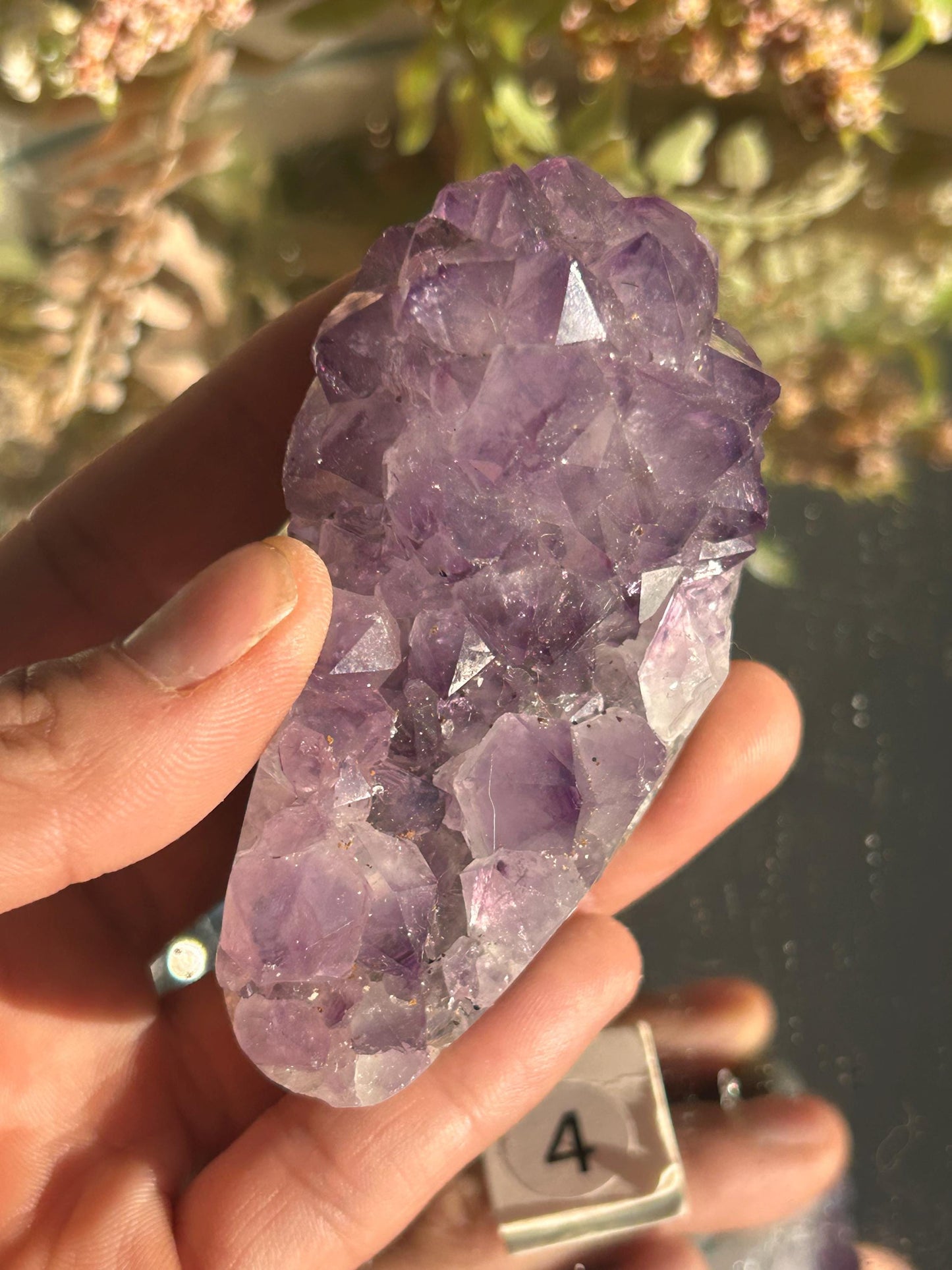 Uruguay Amethyst Specimen Geode | Mineral Specimens | Amethyst Formations | Uruguayan Amethyst | Healing Crystal | Home Decor | Crystal Gift-Raw Crystal Specimens-amethyst, agate