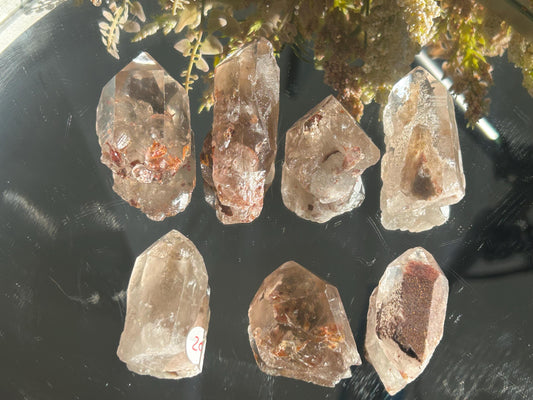 Lemurian Quartz w\ Lodolite Quartz Raw Point | Garden Lemurian Quartz | Shamanic Lemurian Quartz | Scenic Lemurian| Natural Healing Crystal-Raw Crystal Specimens-Lemurian, Quartz, Lodolite