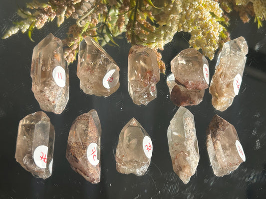 Lemurian Quartz w\ Lodolite Quartz Raw Point | Garden Lemurian Quartz | Shamanic Lemurian Quartz | Scenic Lemurian| Natural Healing Crystal-Raw Crystal Specimens-Lemurian, Quartz, Lodolite