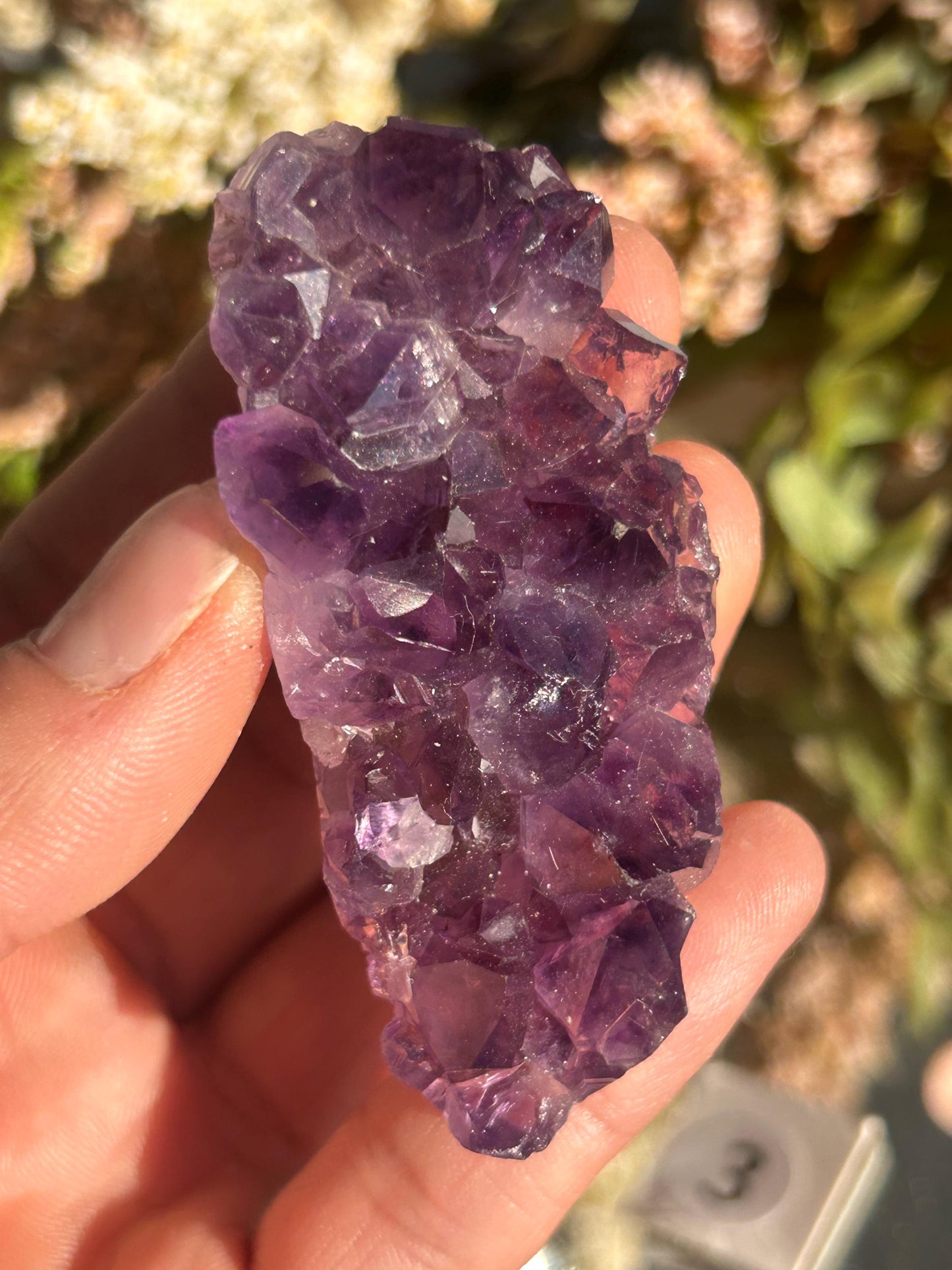 Uruguay Amethyst Specimen Geode | Mineral Specimens | Amethyst Formations | Uruguayan Amethyst | Amethyst Cluster | Home Decor |Crystal Gift-Raw Crystal Specimens-amethyst, agate