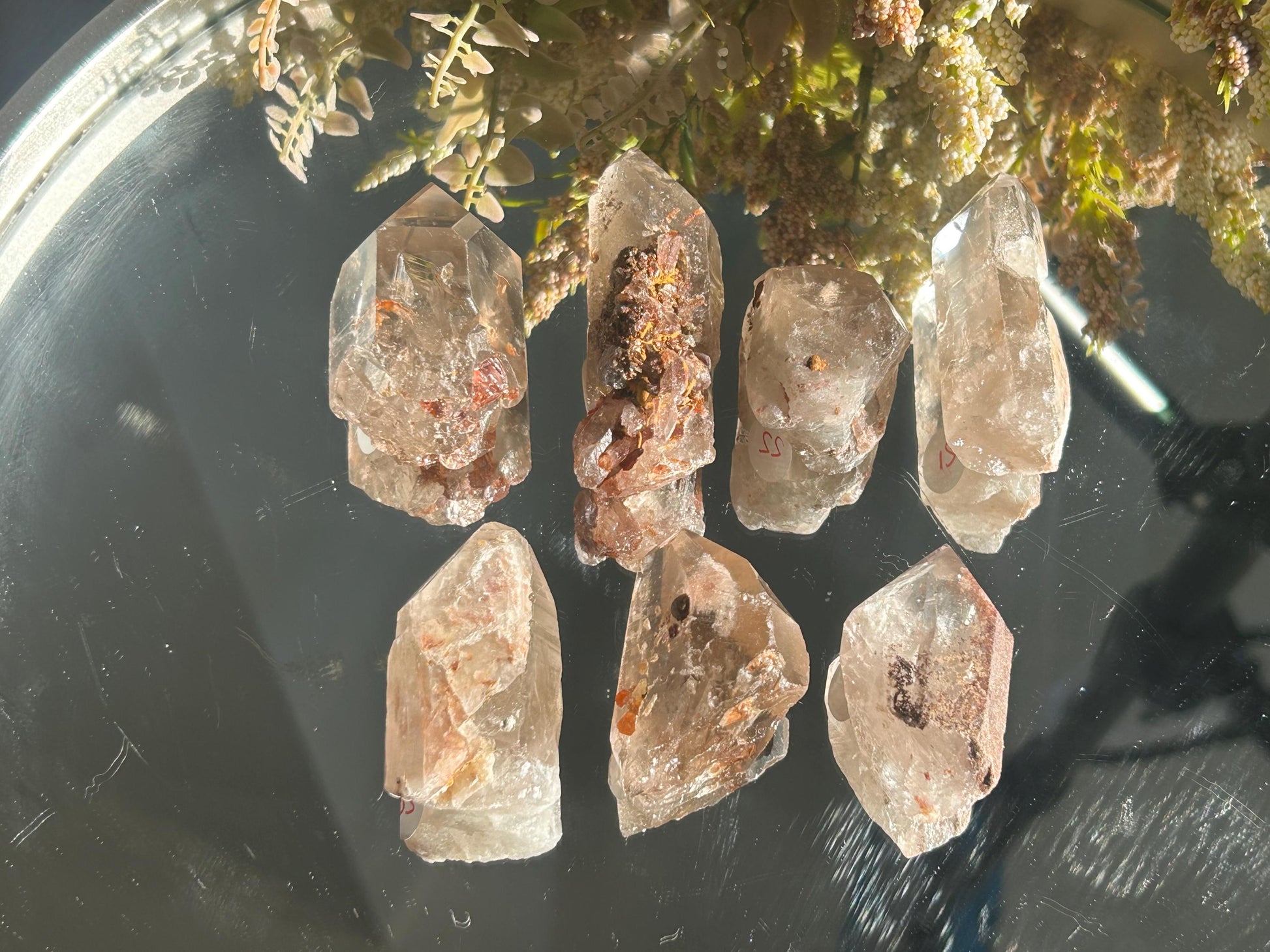 Lemurian Quartz w\ Lodolite Quartz Raw Point | Garden Lemurian Quartz | Shamanic Lemurian Quartz | Scenic Lemurian| Natural Healing Crystal-Raw Crystal Specimens-Lemurian, Quartz, Lodolite