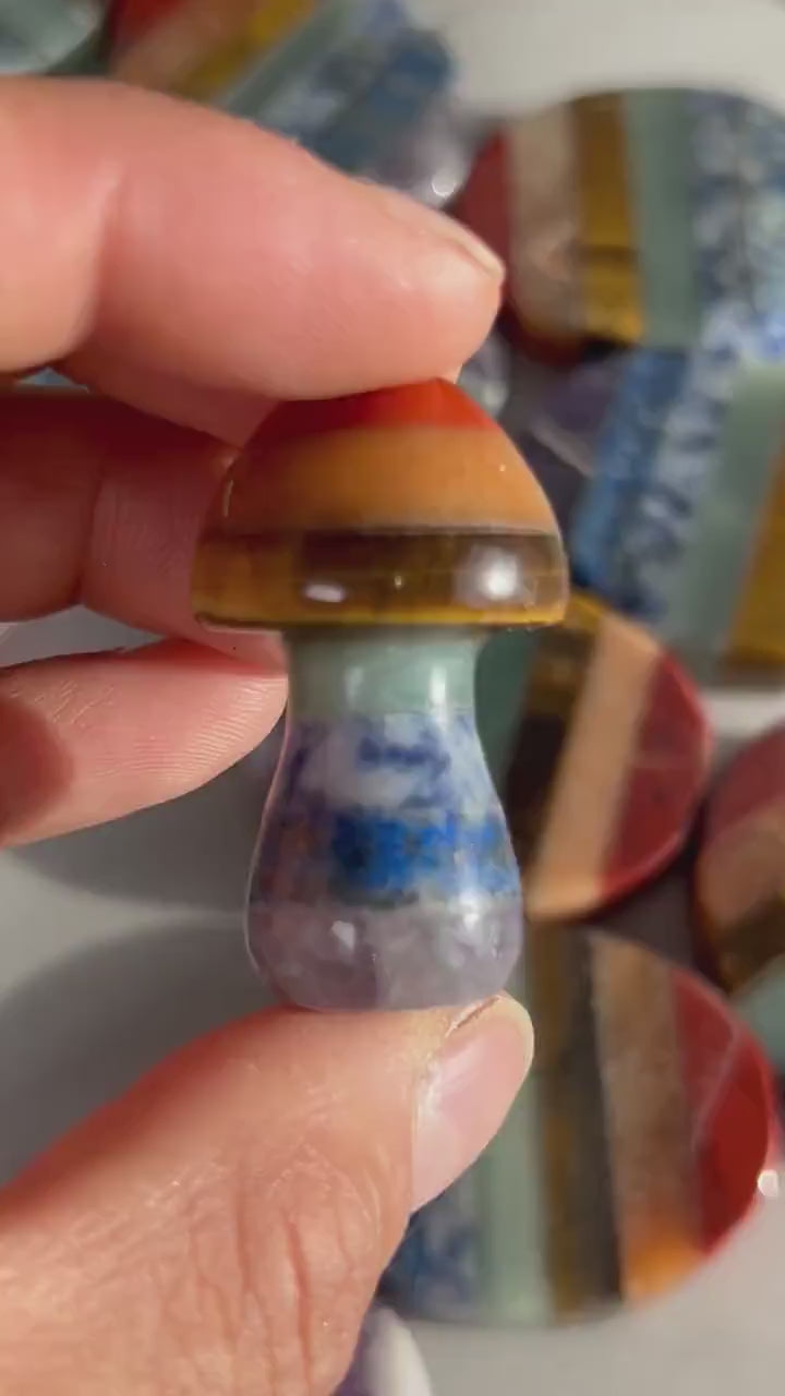 7 Chakra Smooth Palm Pocket Stone | Chakra Polished Mushroom | Healing Crystals Reiki Chakra Gift | Crystal Gift | Crystal Mushroom
